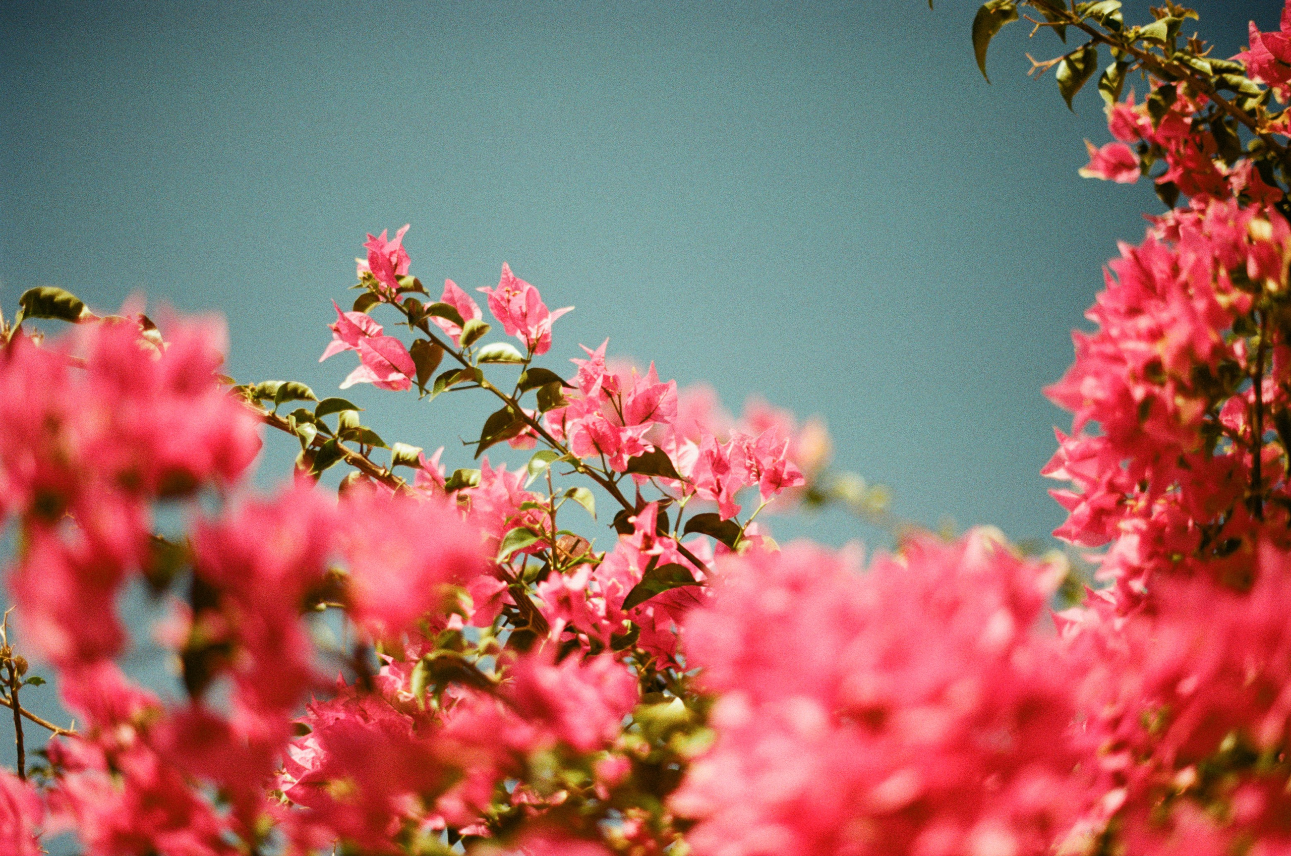Spanish sahara // spain, pozo de los frailes. EVER EXPOSED