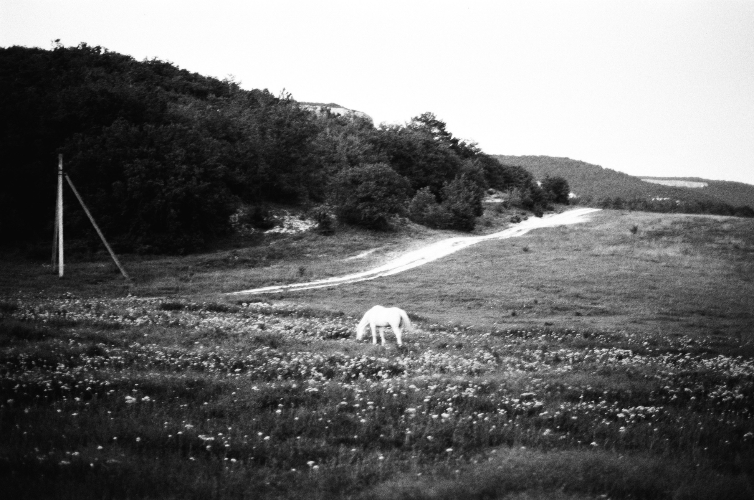 Sparks // ukraine, crimea III. EVER EXPOSED