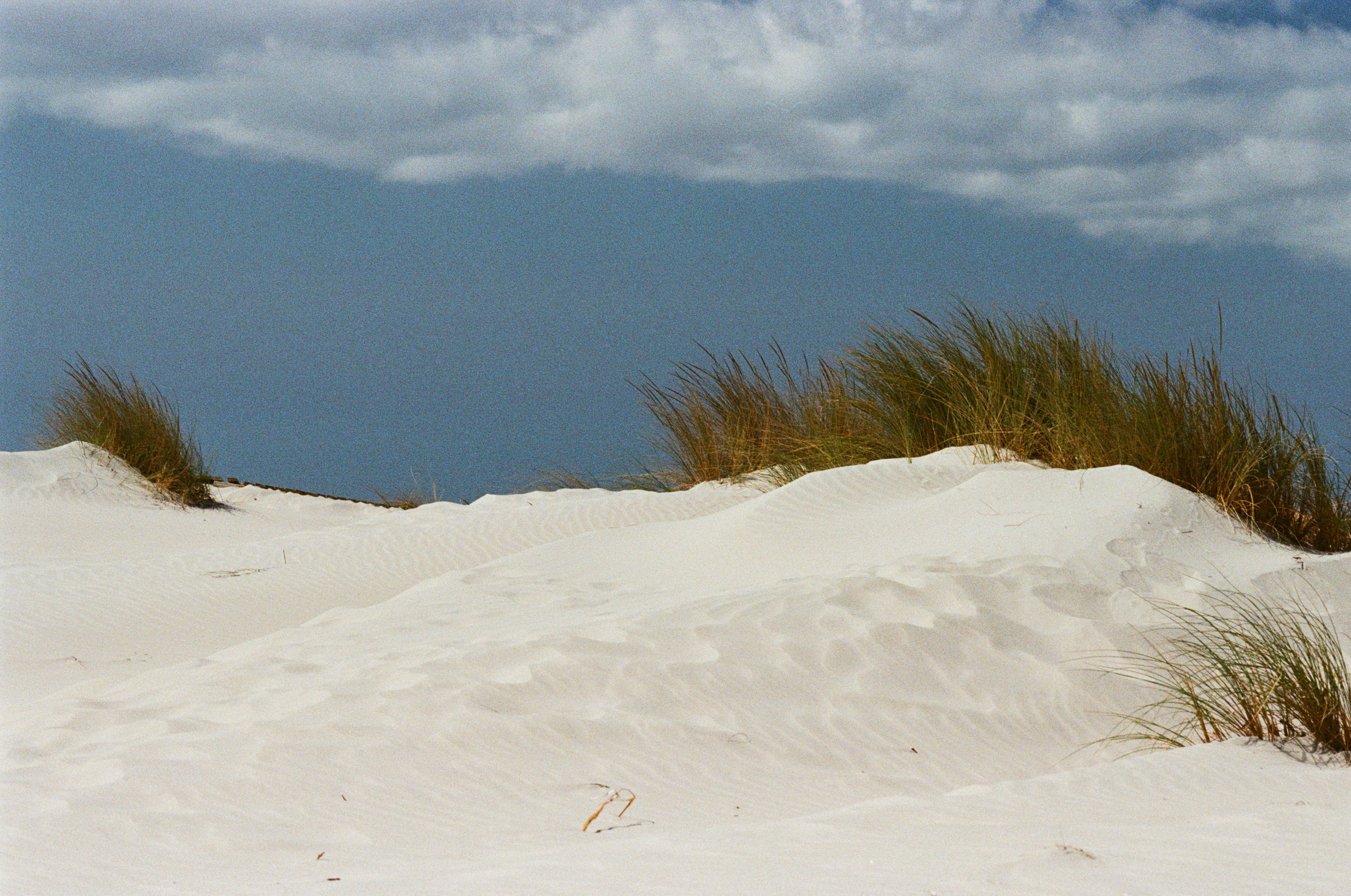 Coraline // sardinia, is arenas biancas. EVER EXPOSED