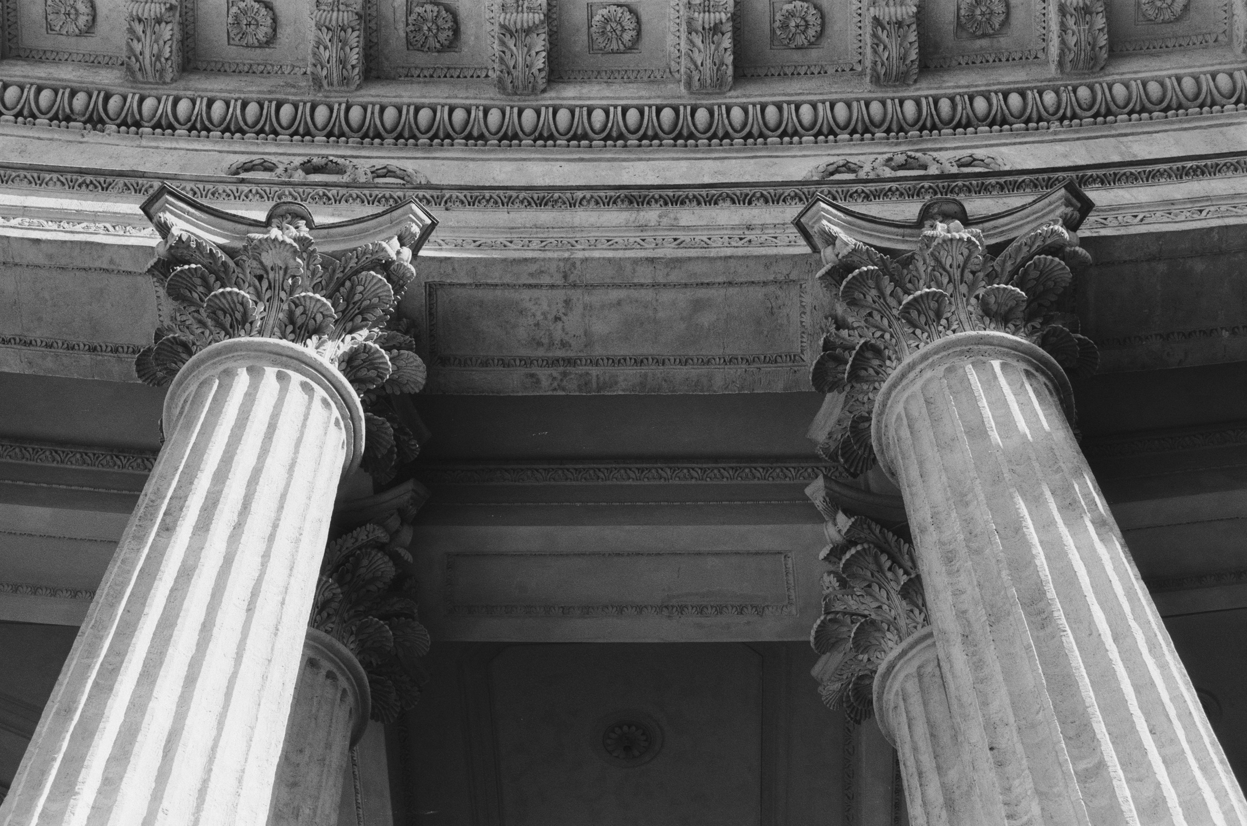 Black dog petersburg // st.-petersburg II. EVER EXPOSED