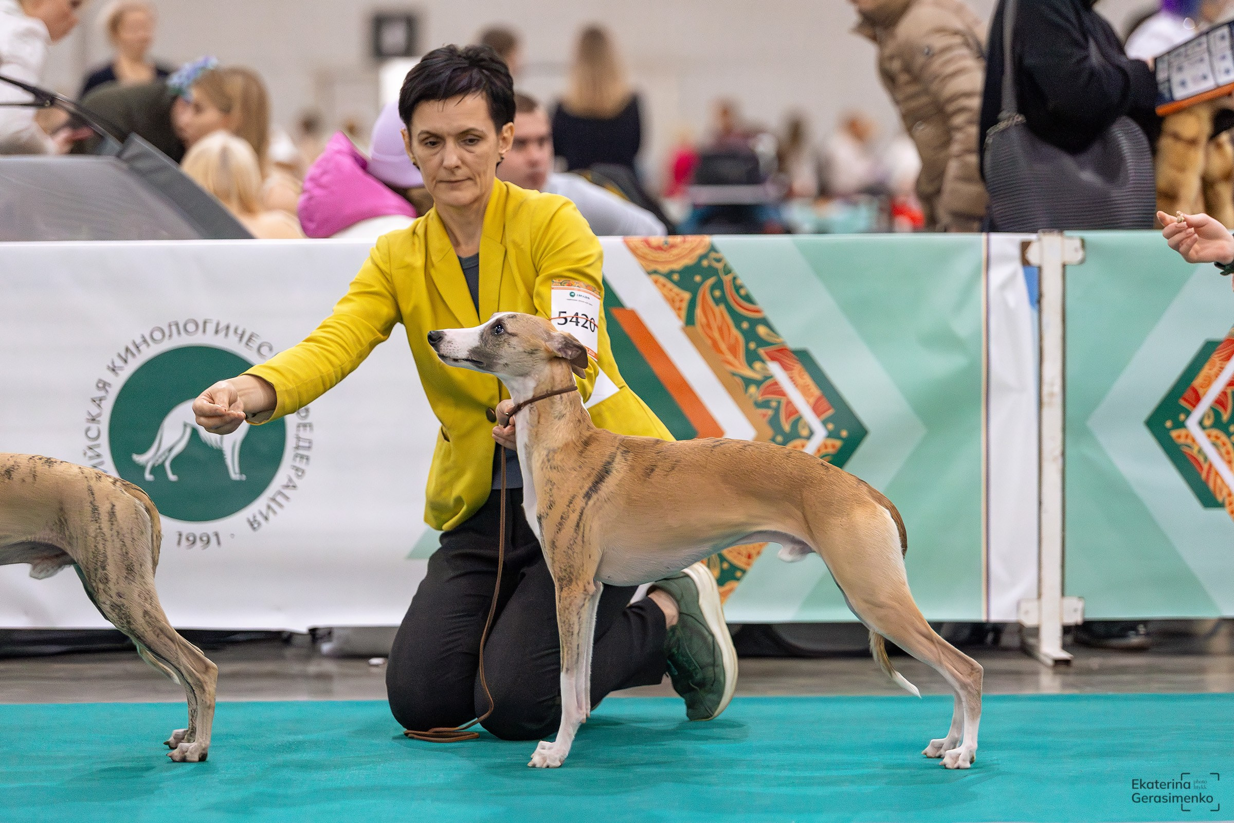 16–17 ноября 2024, Выставка ЕВРАЗИЯ, г. Москва. Htykk_photo