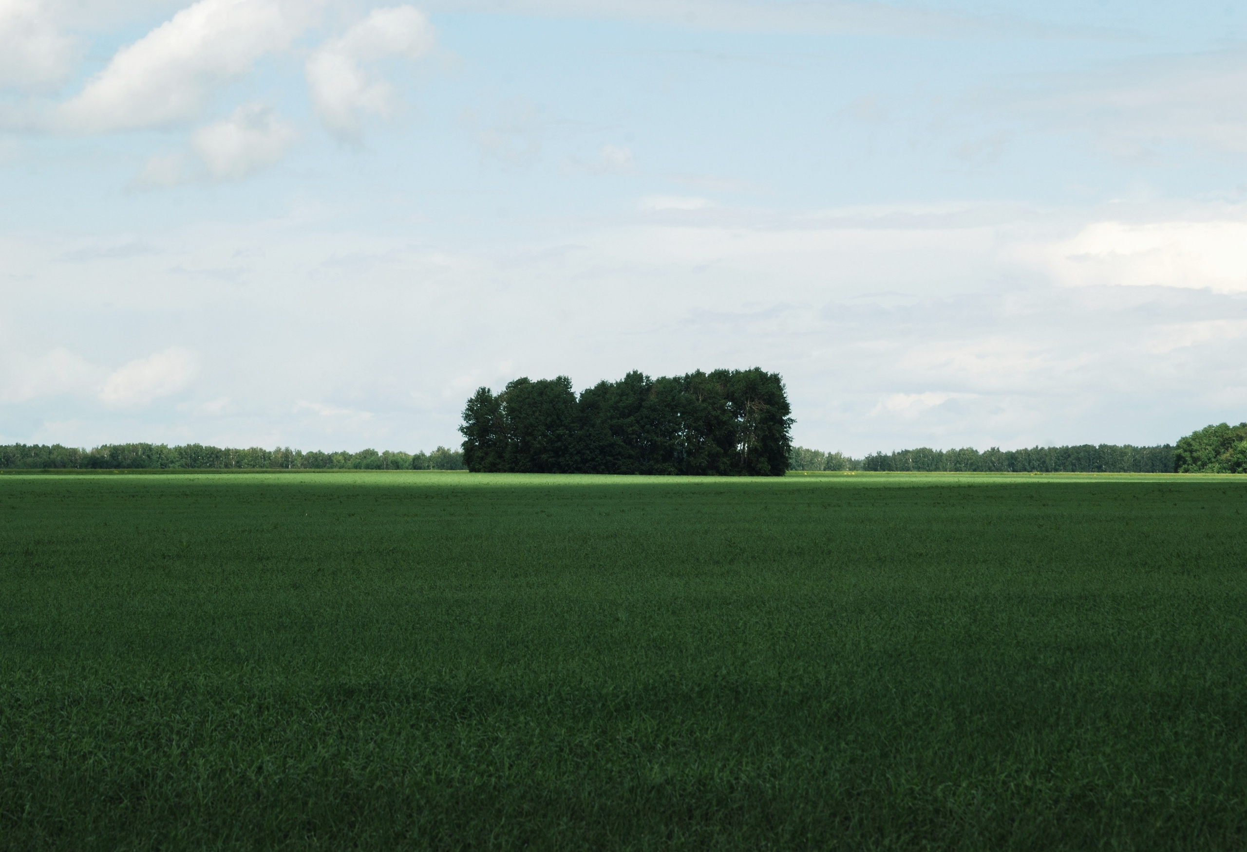 Этот прекрасный мир