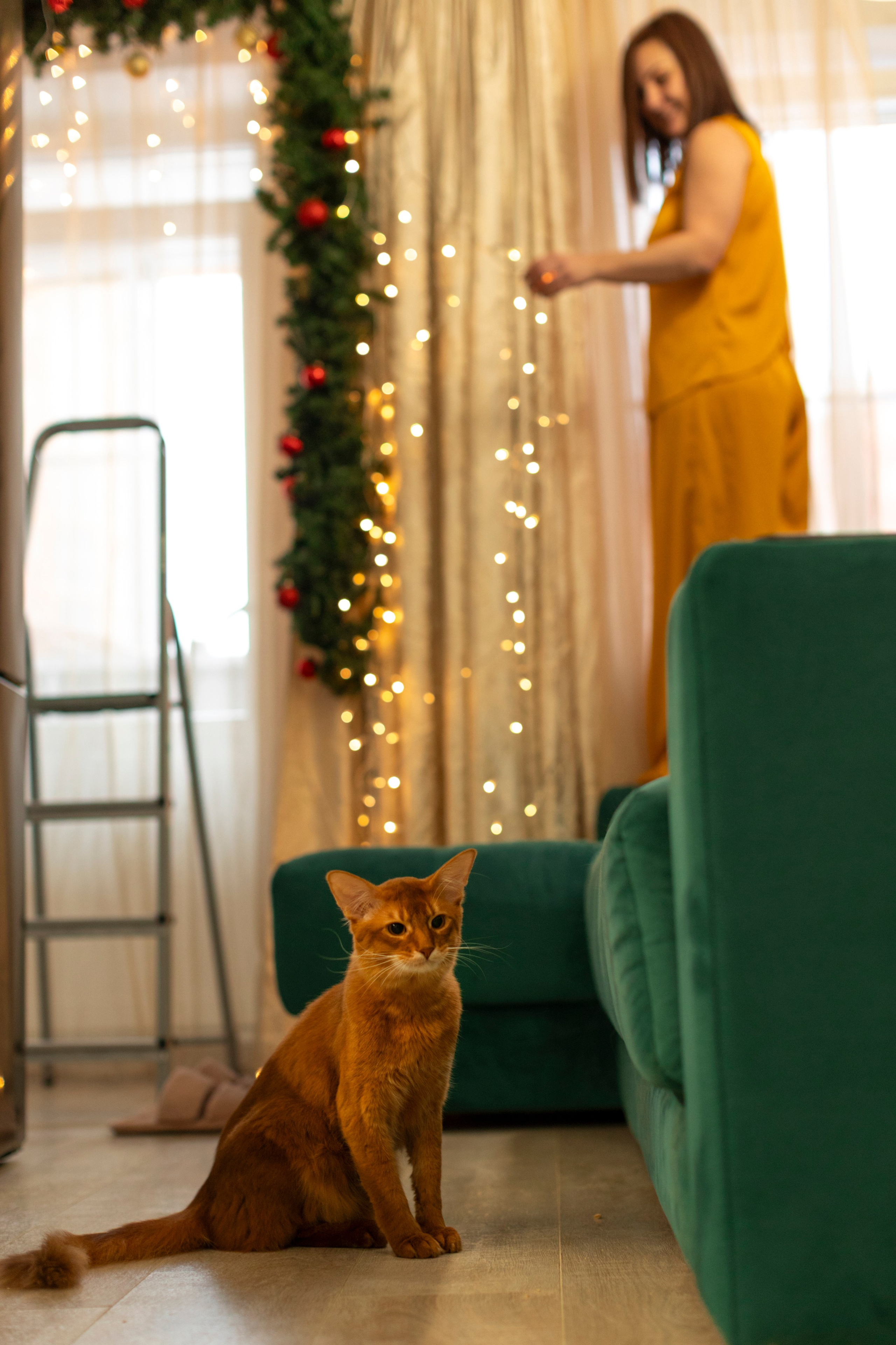 Сомали. Art my Pho