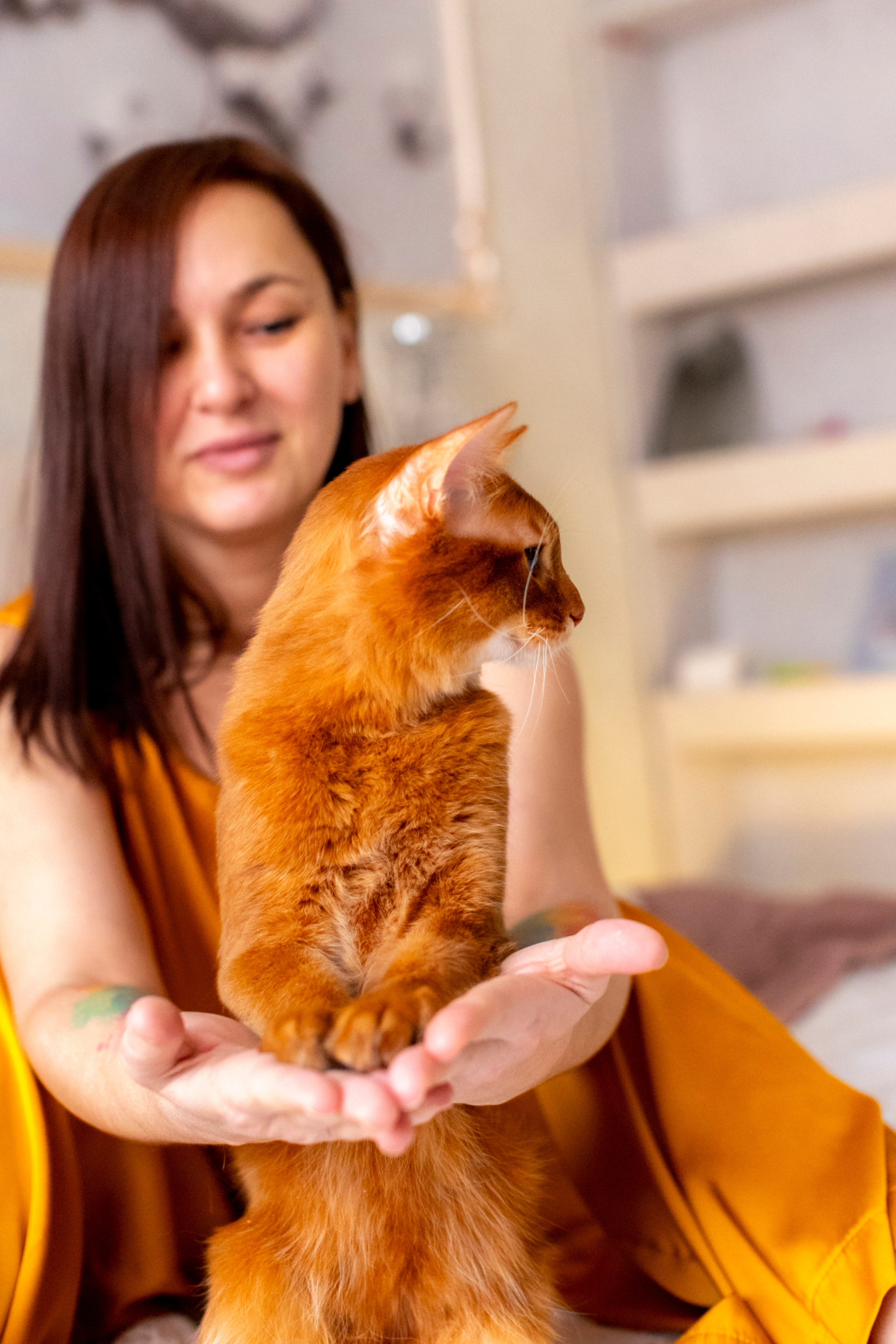 Сомали. Art my Pho