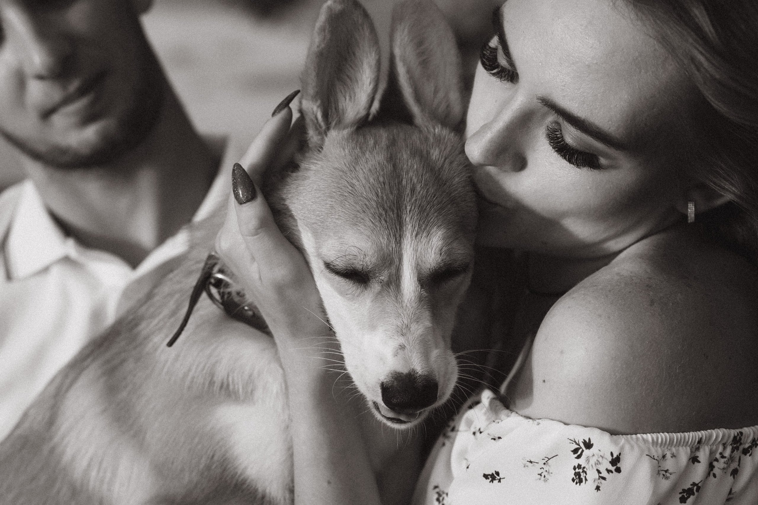 4 лапы, 2 пары ног и одно сердечко на троих ❤. Фотограф Анастасия Романова Рязань