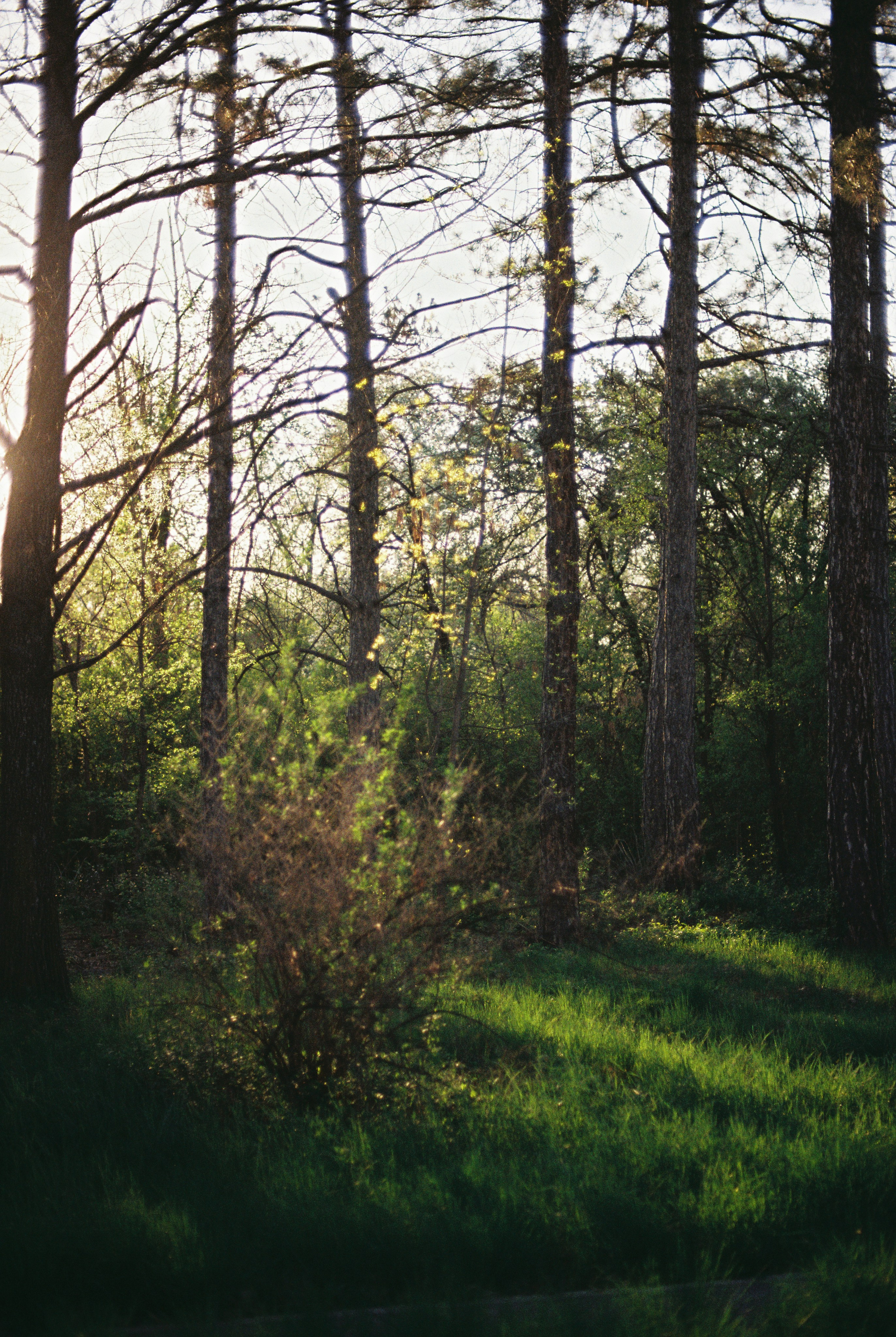 Ботанический сад, апрель 2026. Репортажный и портретный фотограф в Алматы — Дарья Фёдорова