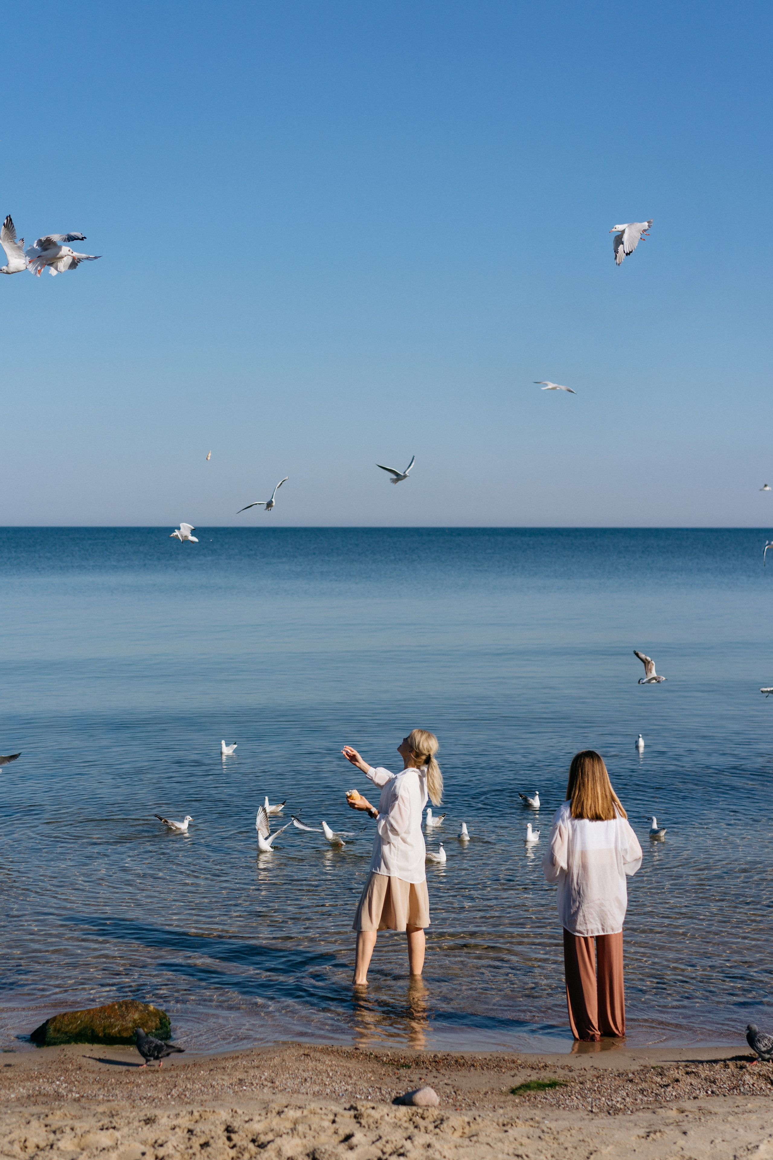 Зеленоградск. Свадебный и семейный фотограф в Калининграде Анастасия Гриценко