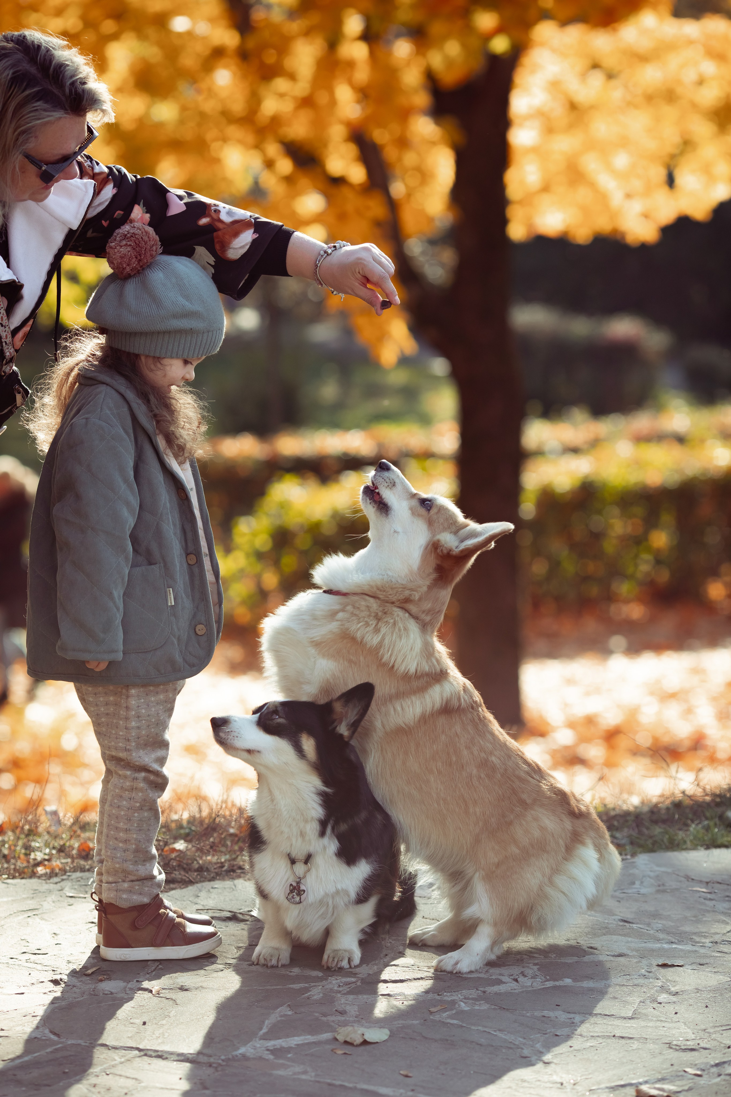 Эва с корги. Семейный и детский фотограф в Москве Дорогова Екатерина