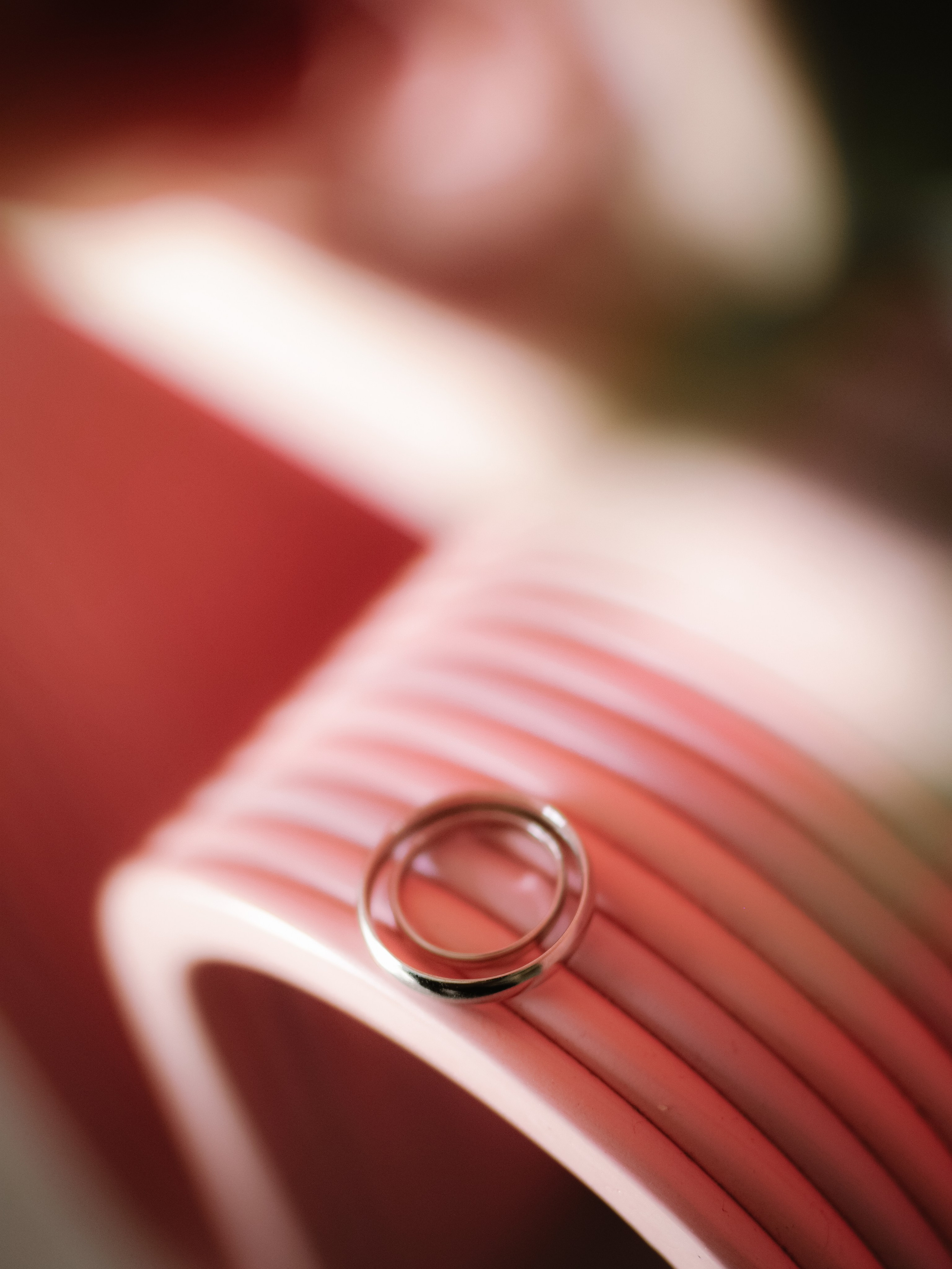 Карина и Илья. Фотограф Рязань. Семейный Свадебный фотограф