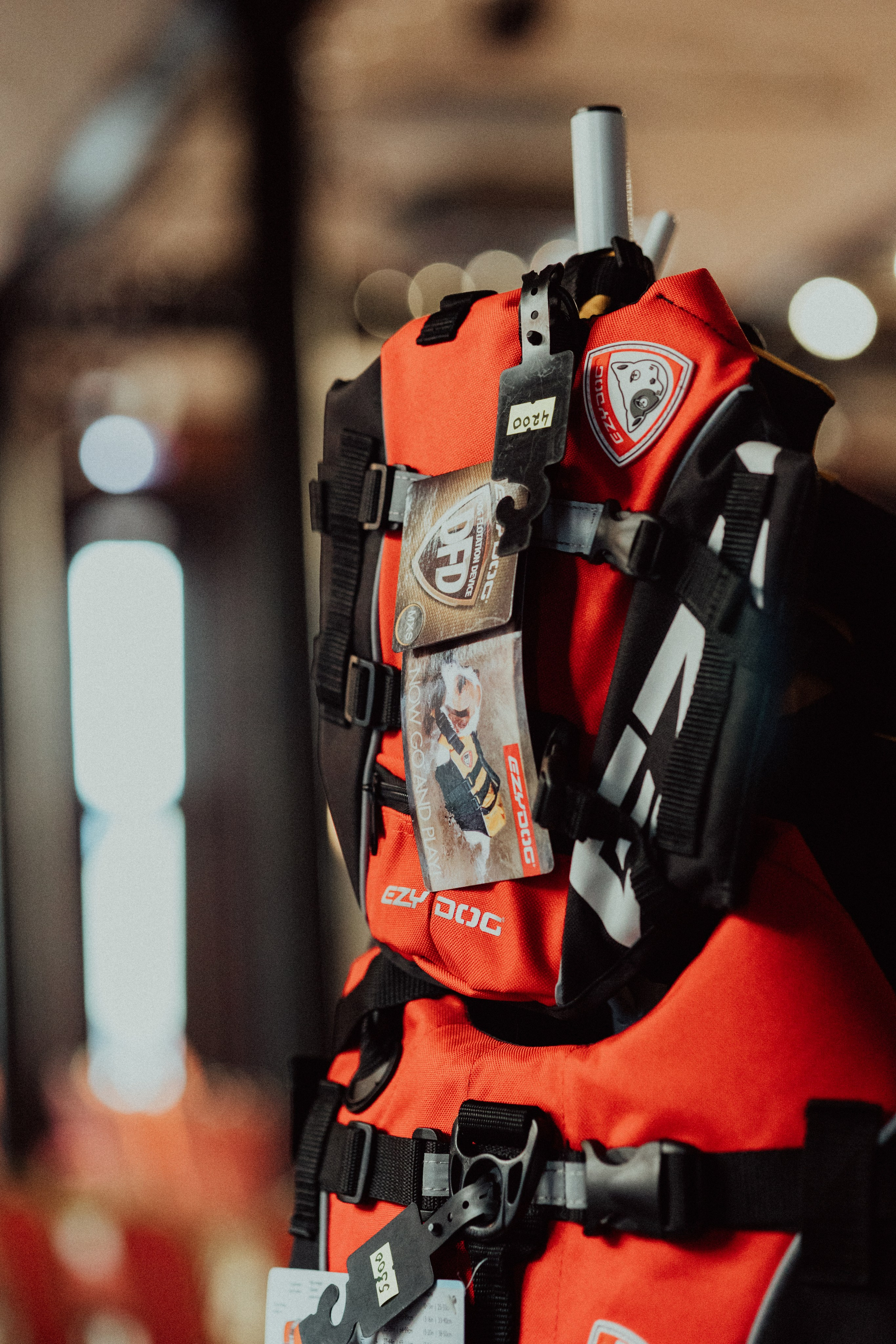 CBcon. Фотограф анималист в Москве Майорова Евгения