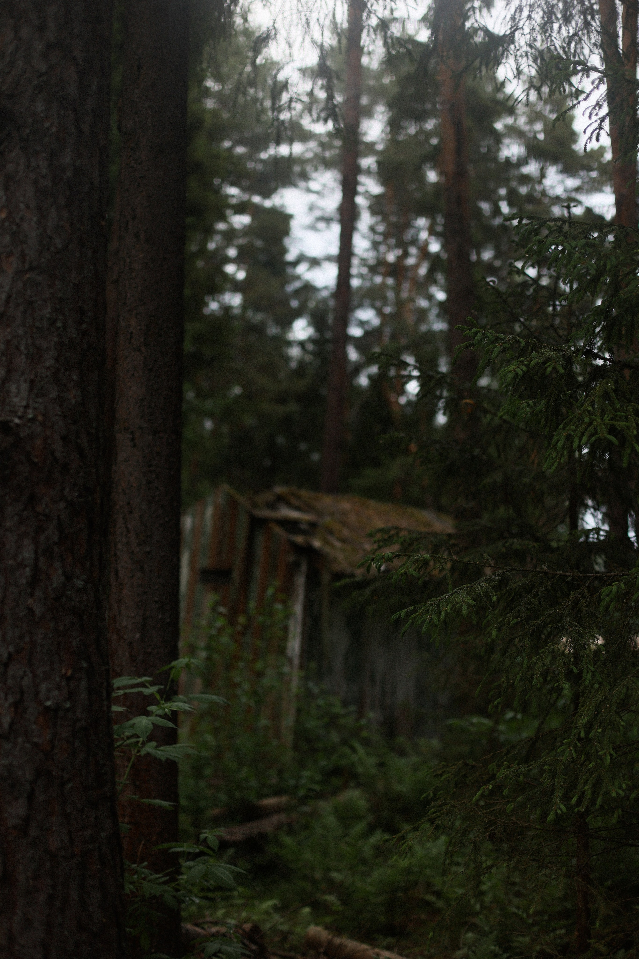 Колумбия или Бали. Фотограф — Ольга Косолюкина