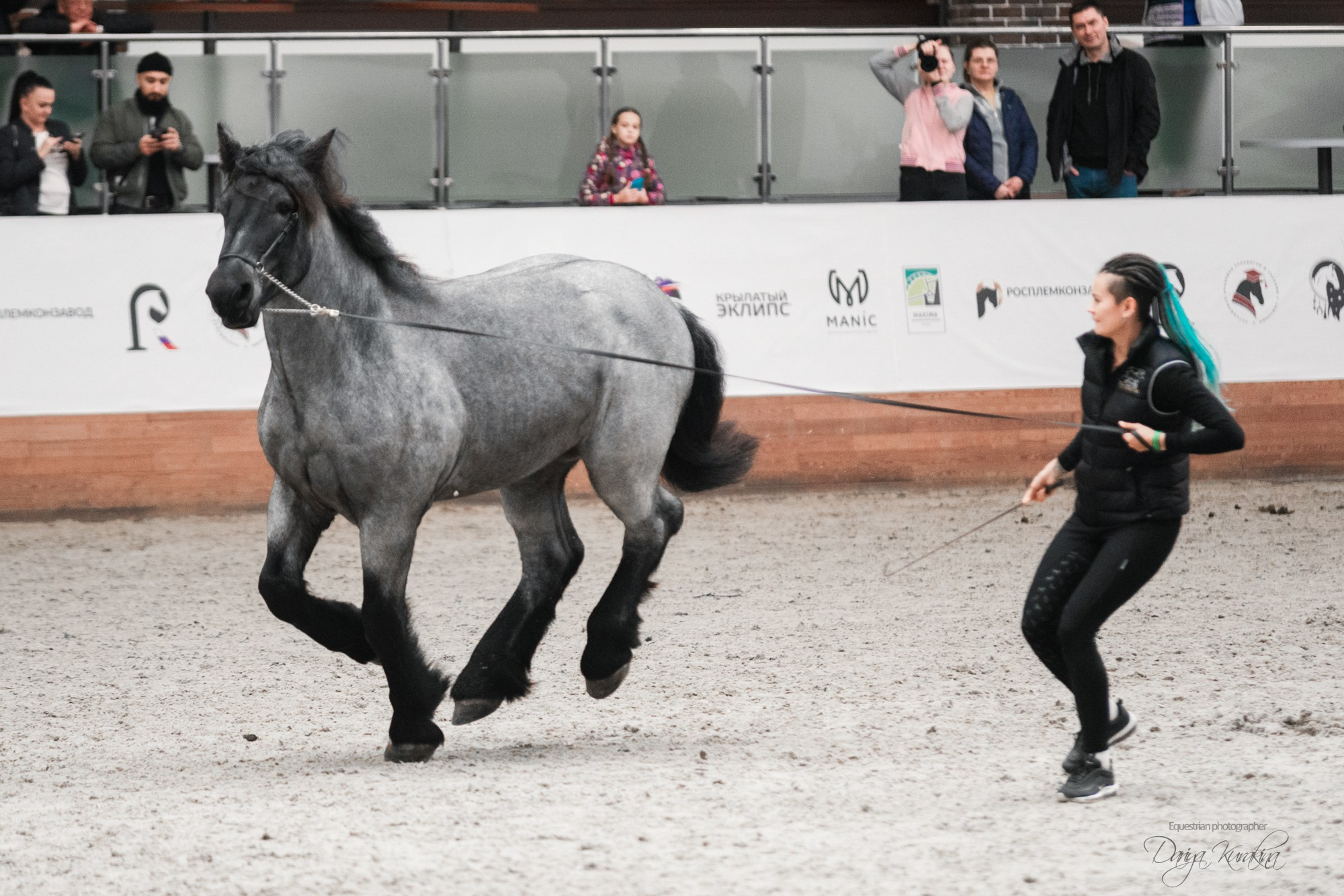 8-я международная выставка Конная Россия. Конный фотограф Куракина Дарья • Фотосессии с лошадьми