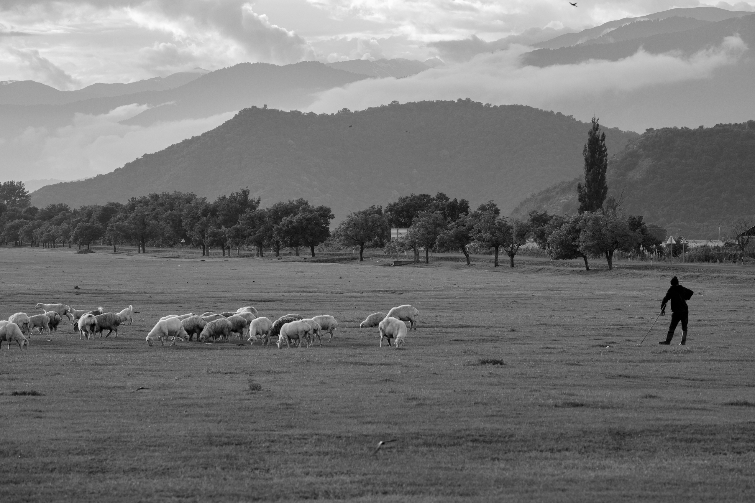 Georgia, 2024. Воройская Анна