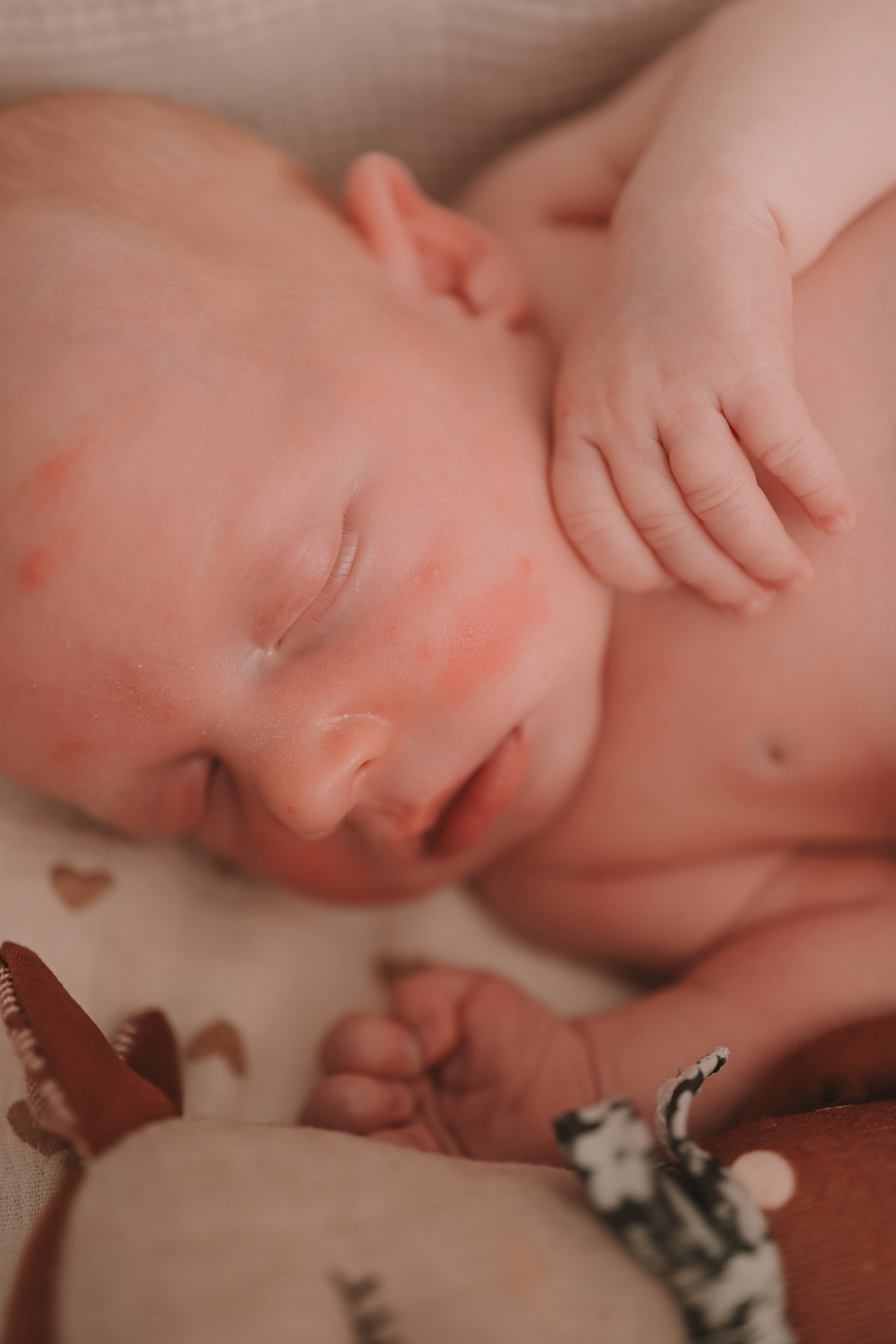 Ефим, 2 недели. Семейный фотограф Тюмень, фотограф на роды Салмина Мария