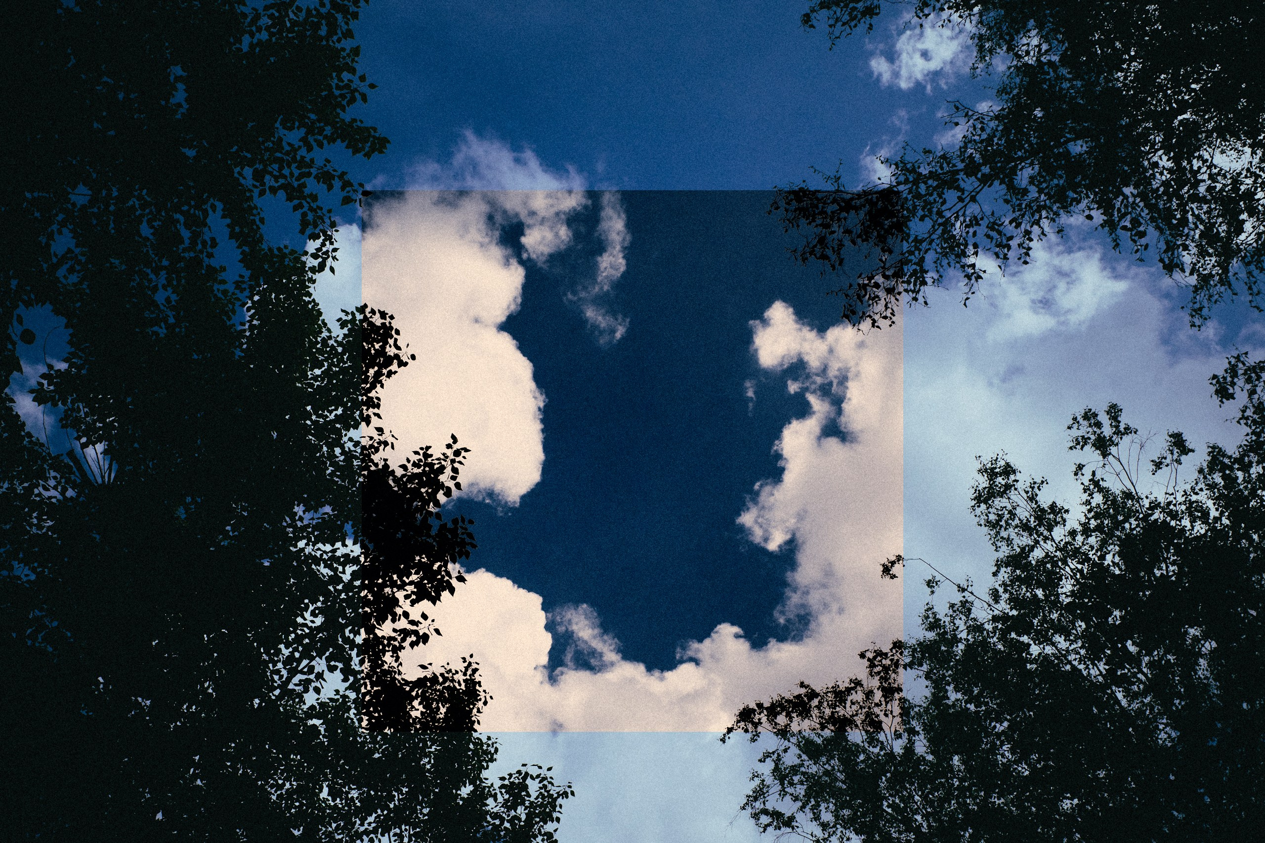 Artwork. Фотограф Ваня Бархатов