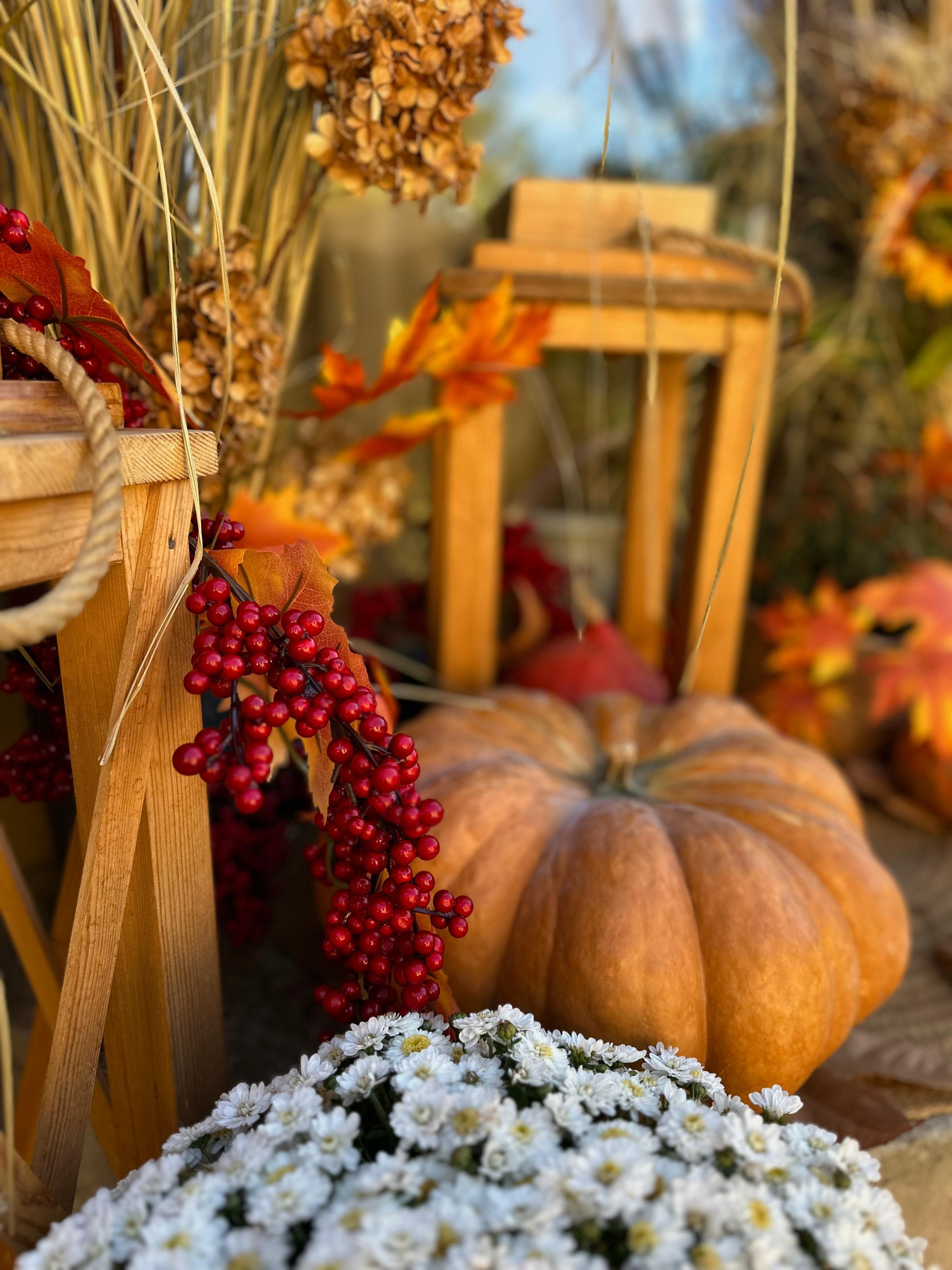 Осенние декорации фотостудии «ТЕПЛИЦА», город Краснодар. Семейный и детский фотограф в Краснодаре Анна Трашкова