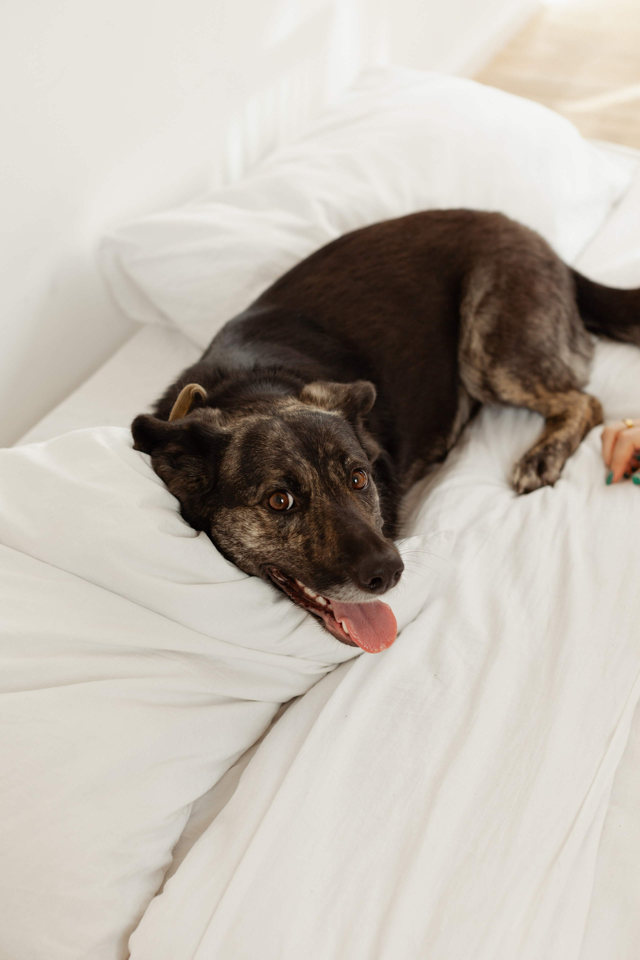 Аня Эстетика. Фотограф Ростов-на-Дону Свадебный Фотограф в Ростове Ксения Орлова