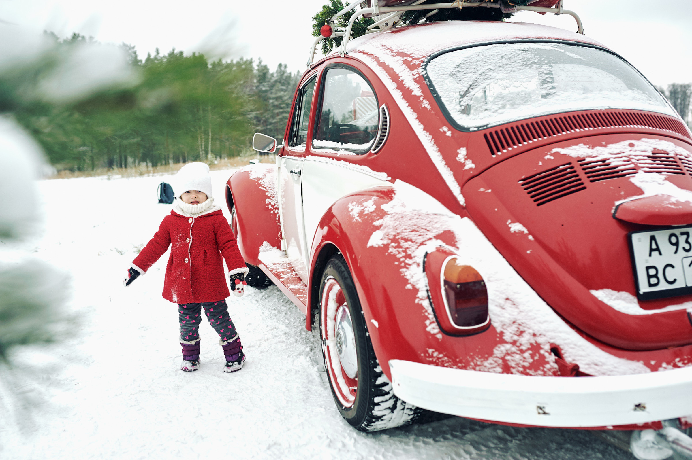 Зима в Простоквашино. Маляревич Дмитрий свадебный фотограф