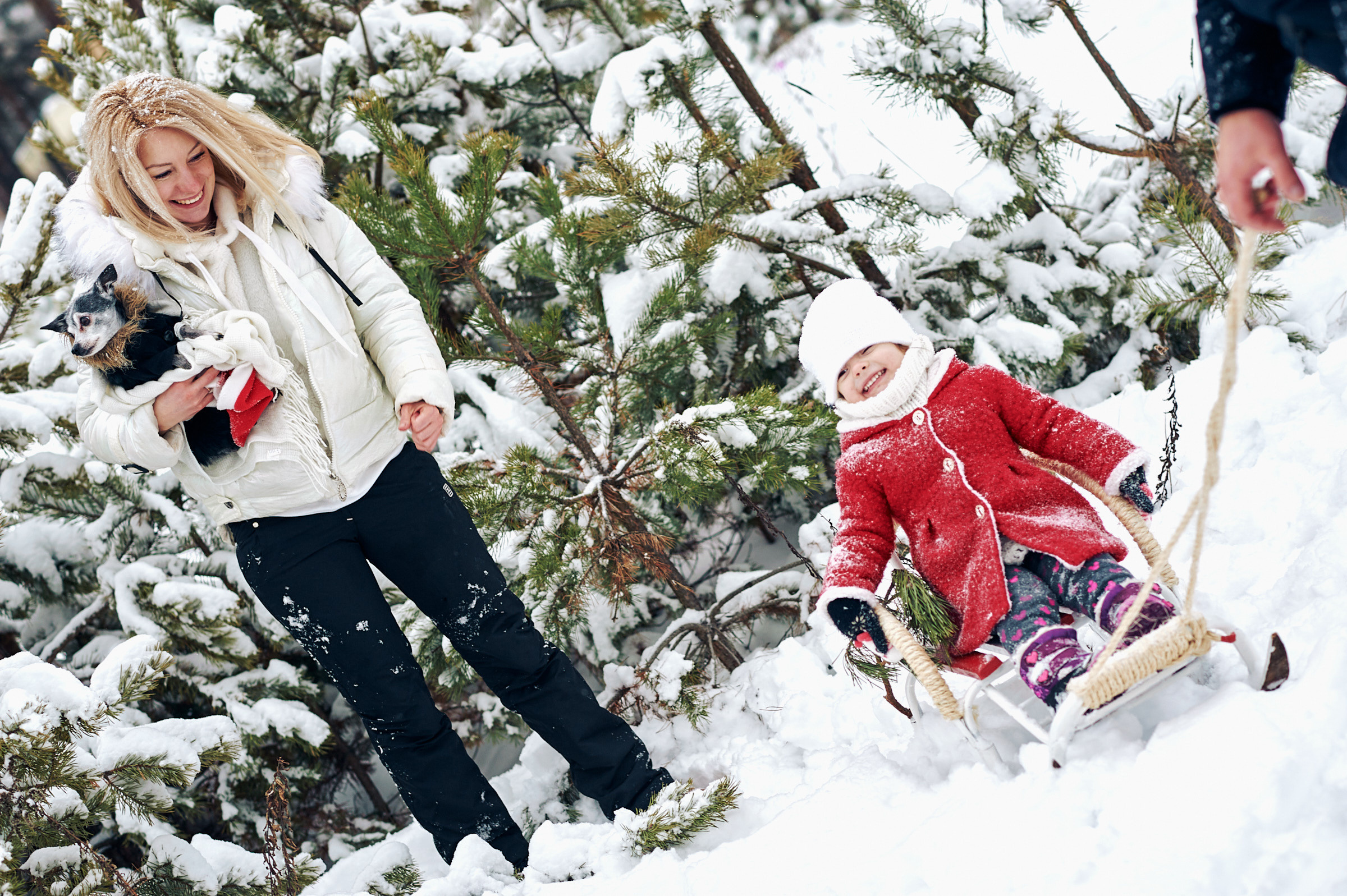 Зима в Простоквашино. Маляревич Дмитрий свадебный фотограф
