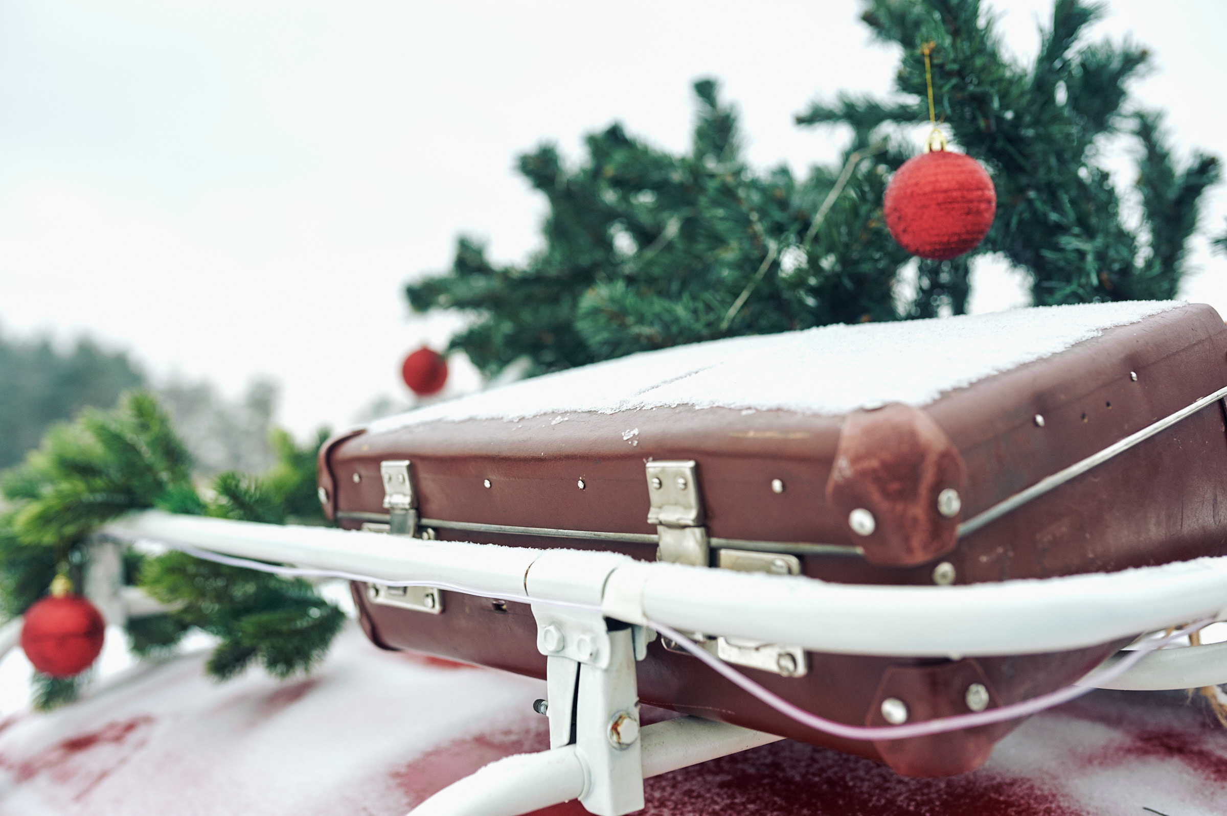 Зима в Простоквашино. Маляревич Дмитрий свадебный фотограф