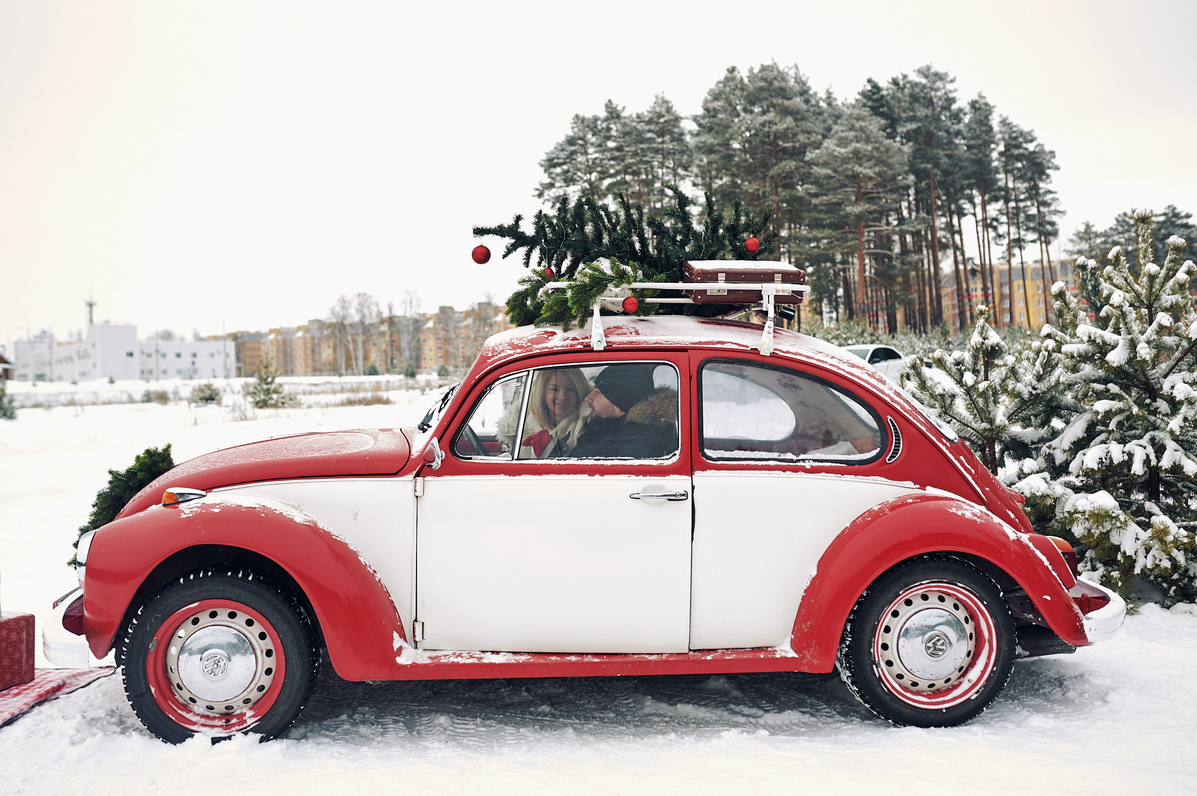 Зима в Простоквашино. Маляревич Дмитрий свадебный фотограф