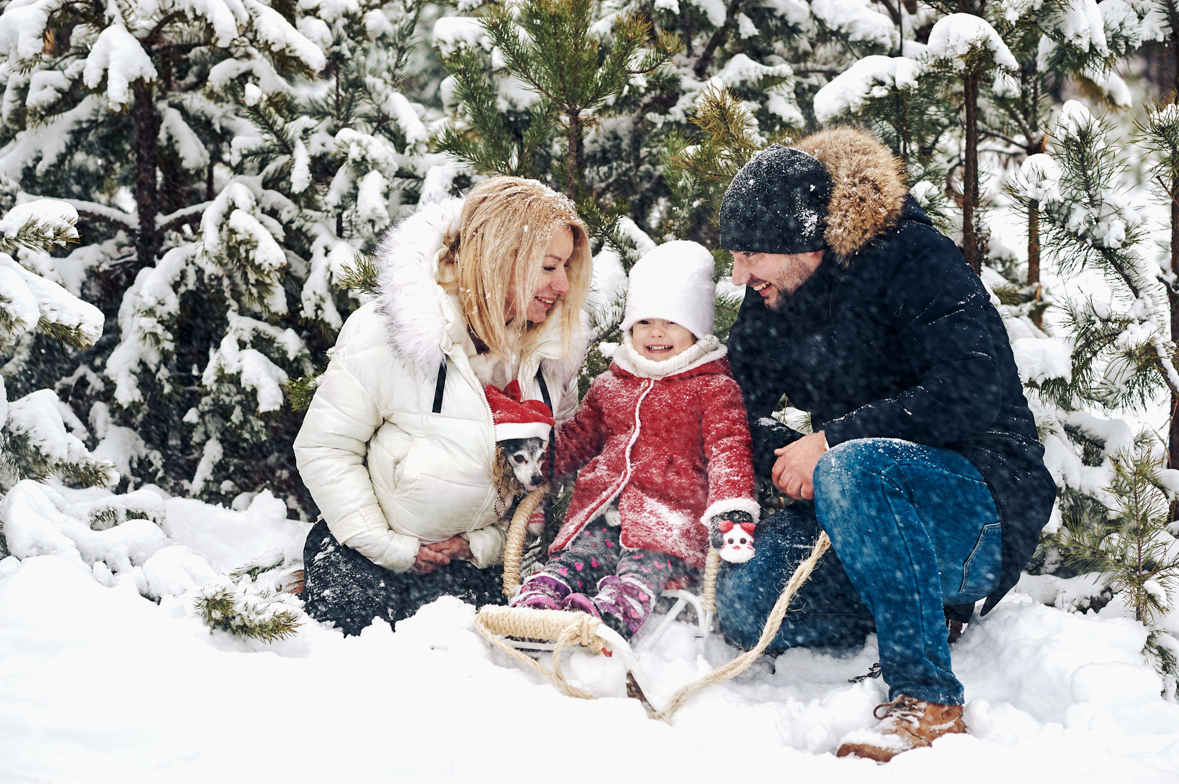 Зима в Простоквашино. Маляревич Дмитрий свадебный фотограф