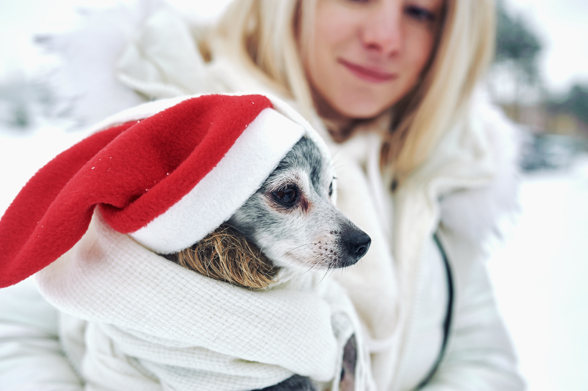 Зима в Простоквашино. Маляревич Дмитрий свадебный фотограф