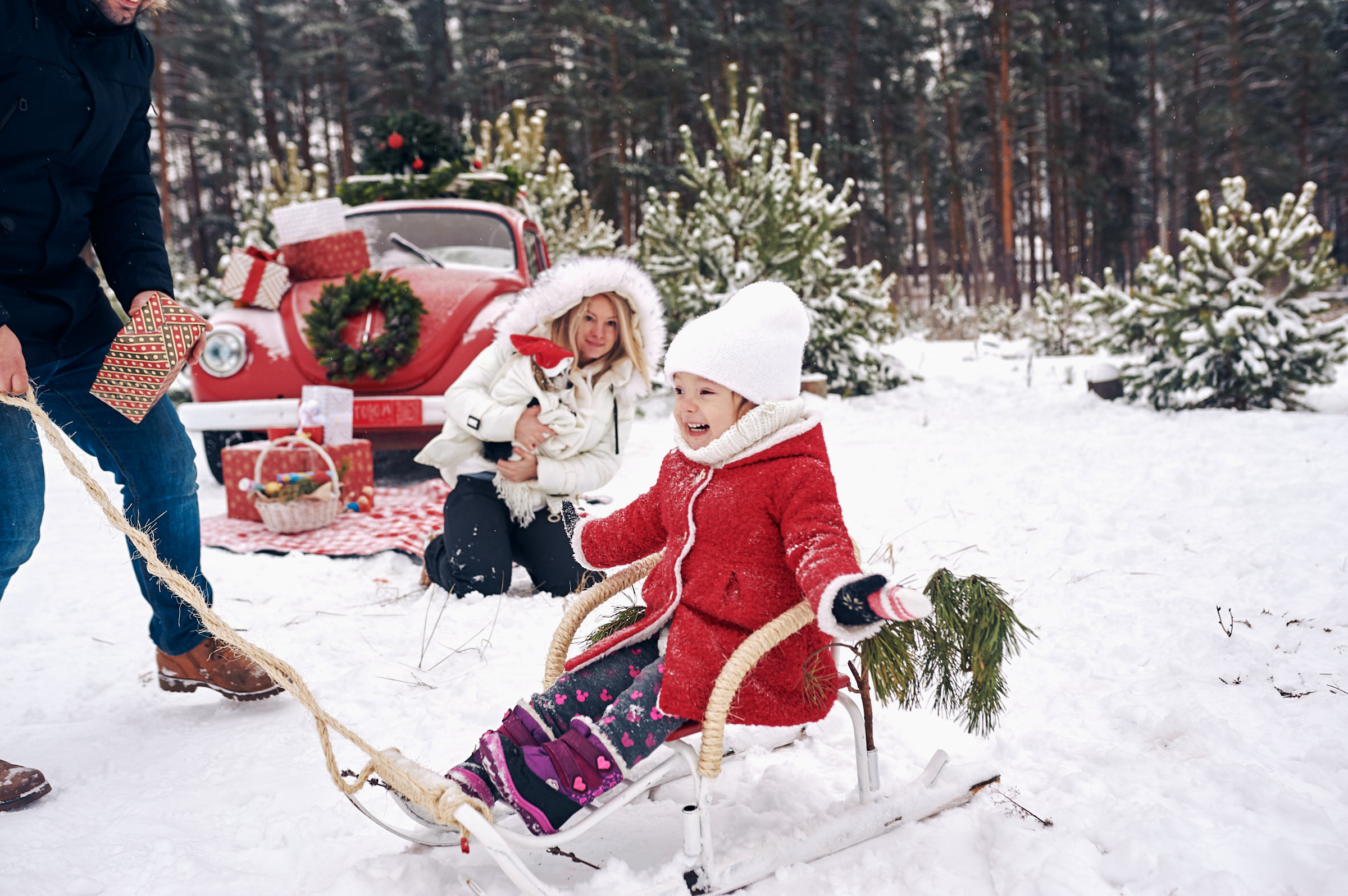 Зима в Простоквашино. Маляревич Дмитрий свадебный фотограф