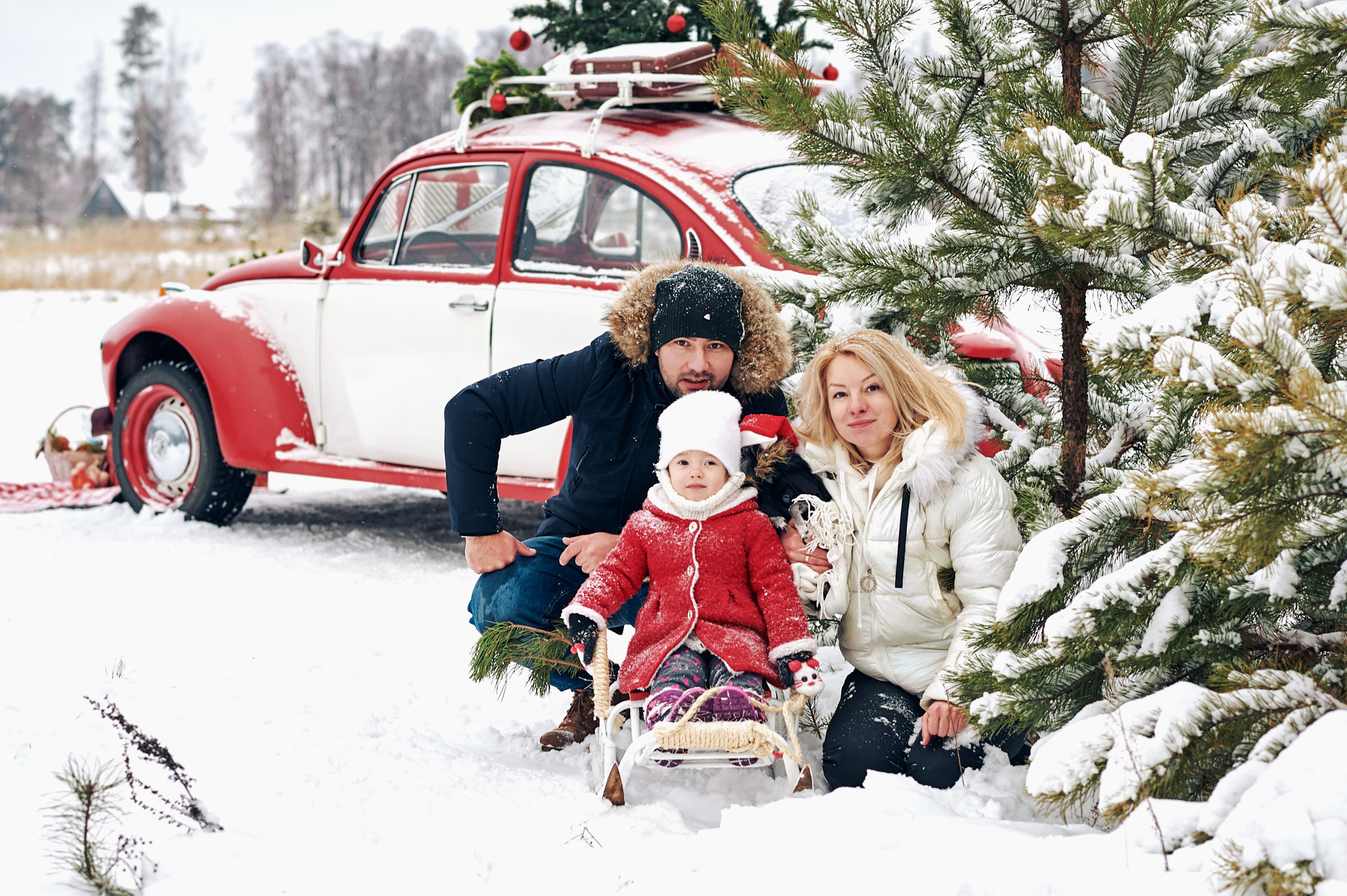 Зима в Простоквашино. Маляревич Дмитрий свадебный фотограф