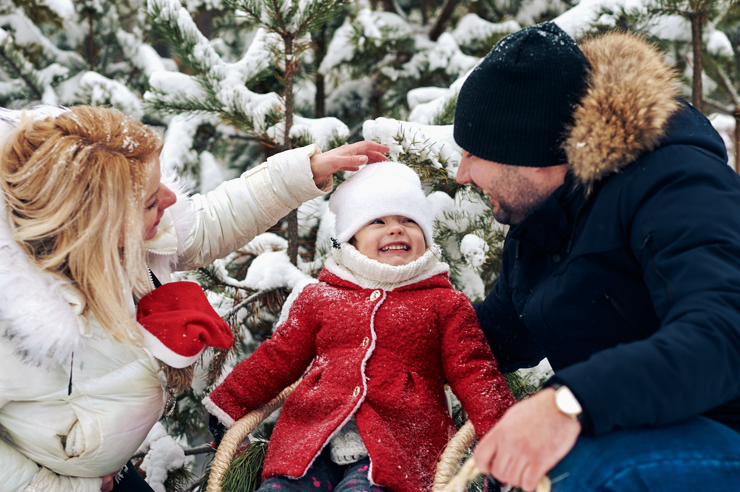 Зима в Простоквашино. Маляревич Дмитрий свадебный фотограф