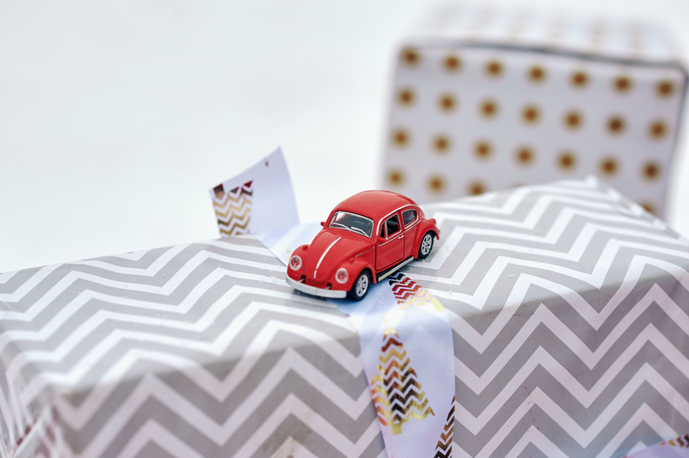 Зима в Простоквашино. Маляревич Дмитрий свадебный фотограф