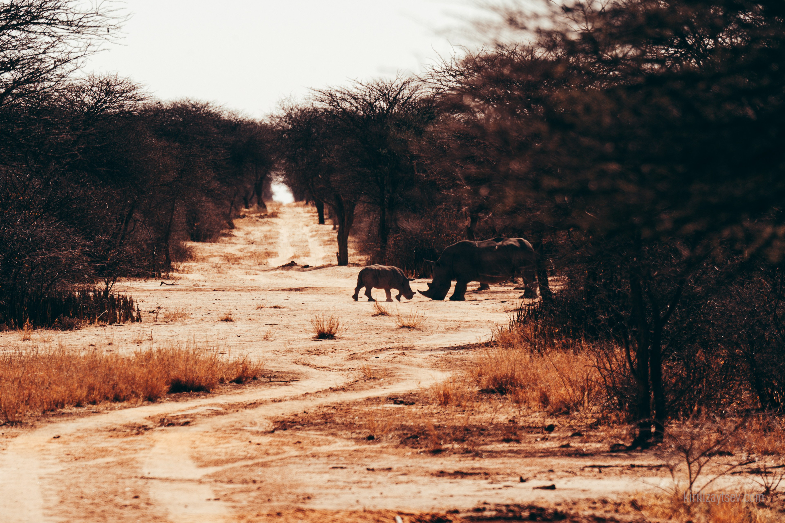 Жизнь. Профессиональный фотограф Кирилл Зайцев