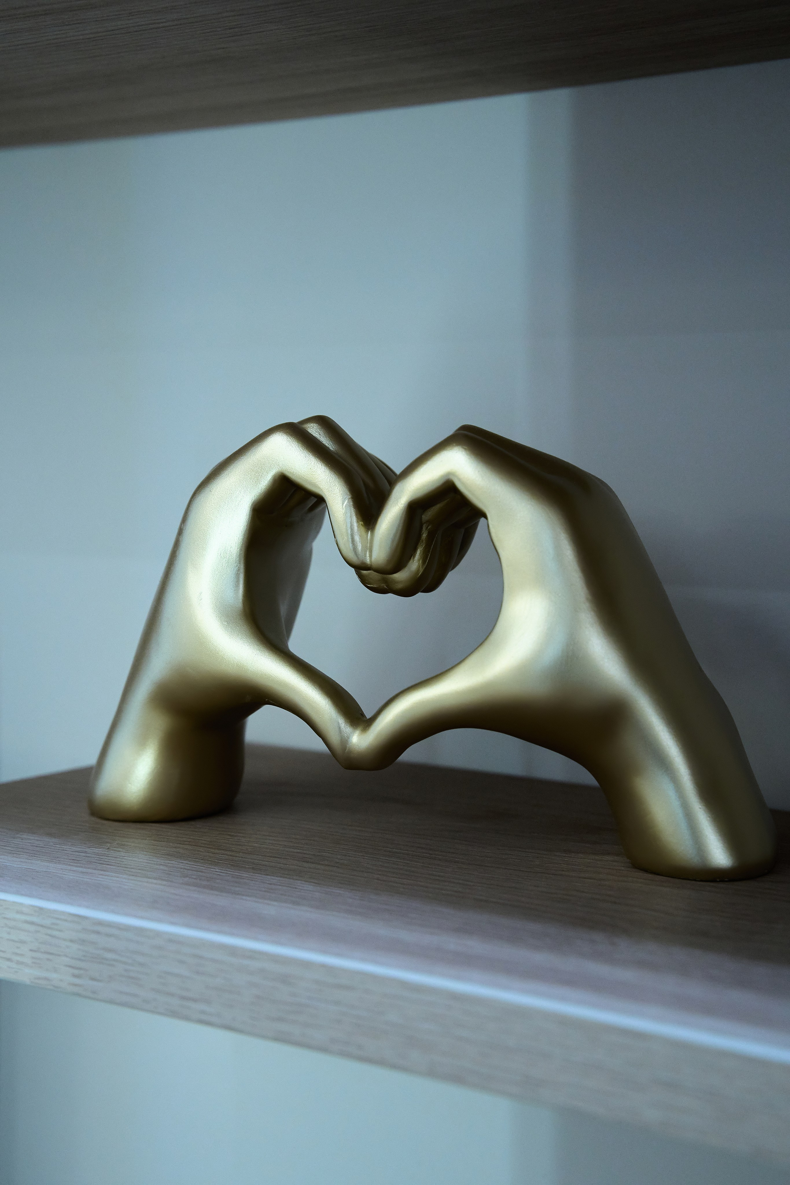 Fox Space. Фотограф Казань