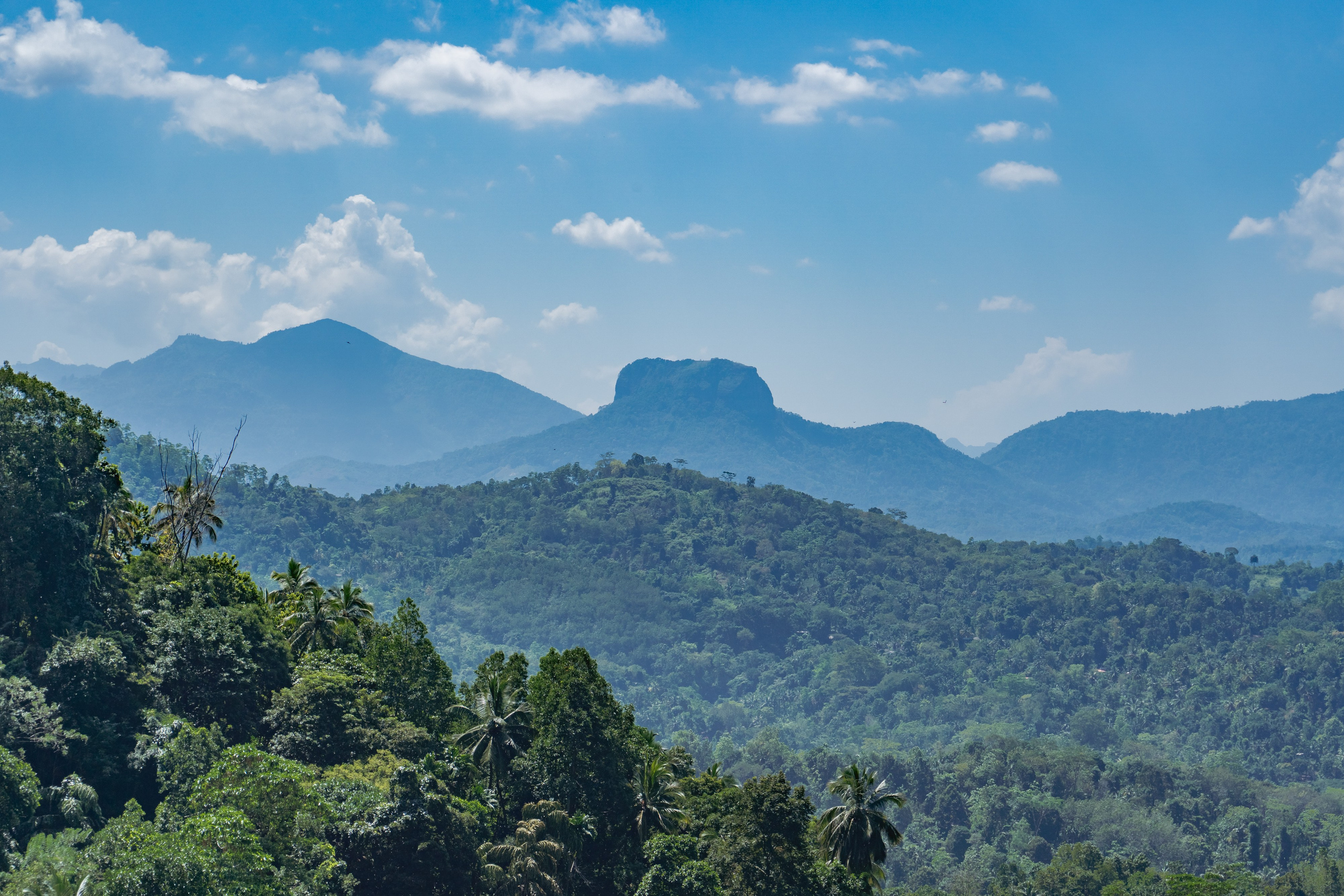 Promo content shooting for Ceylon Forward Tours