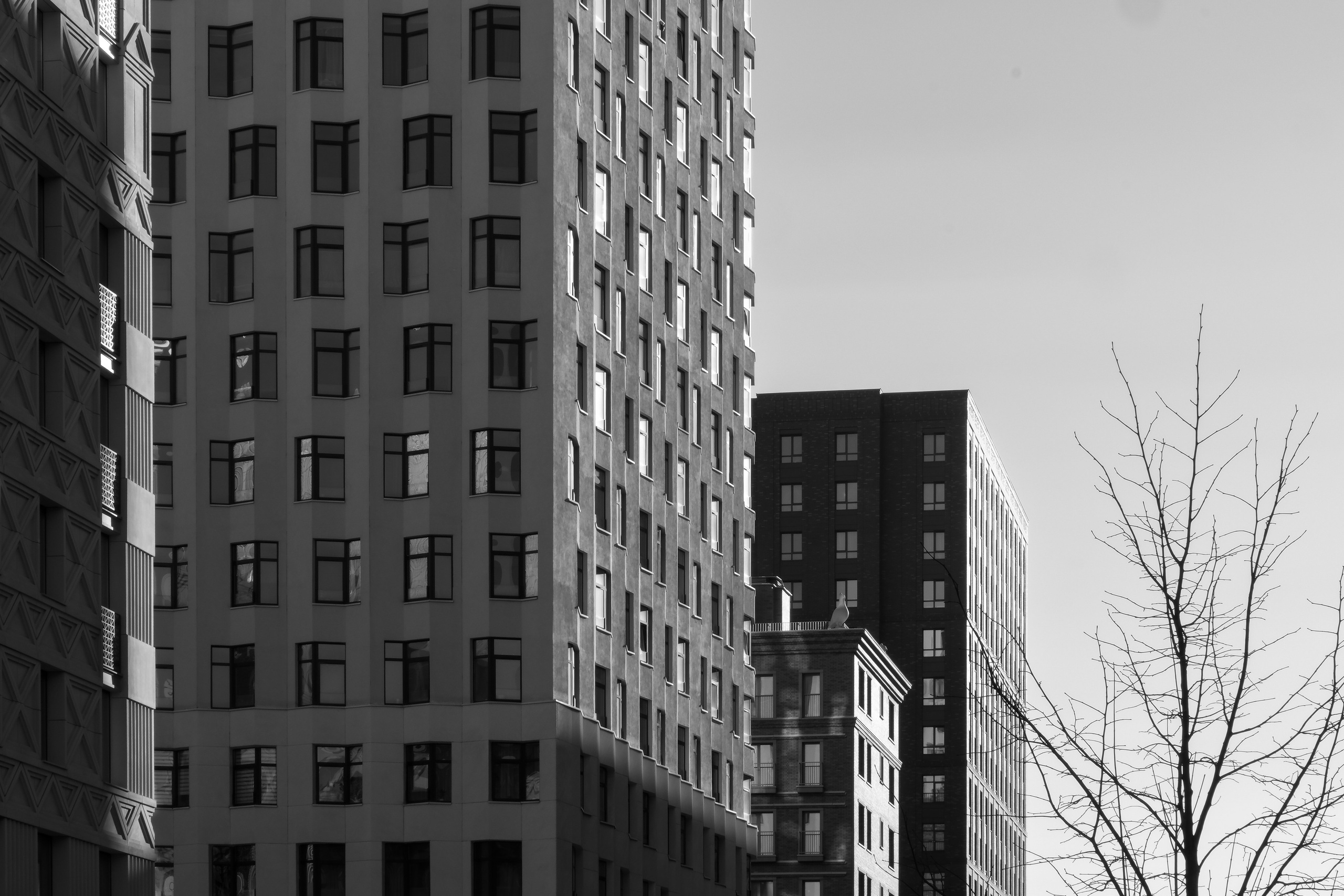 Квартал 14.1 «Чайка» | Архитектурная группа DNK ag. Михаил Мулач | Архитектурный фотограф