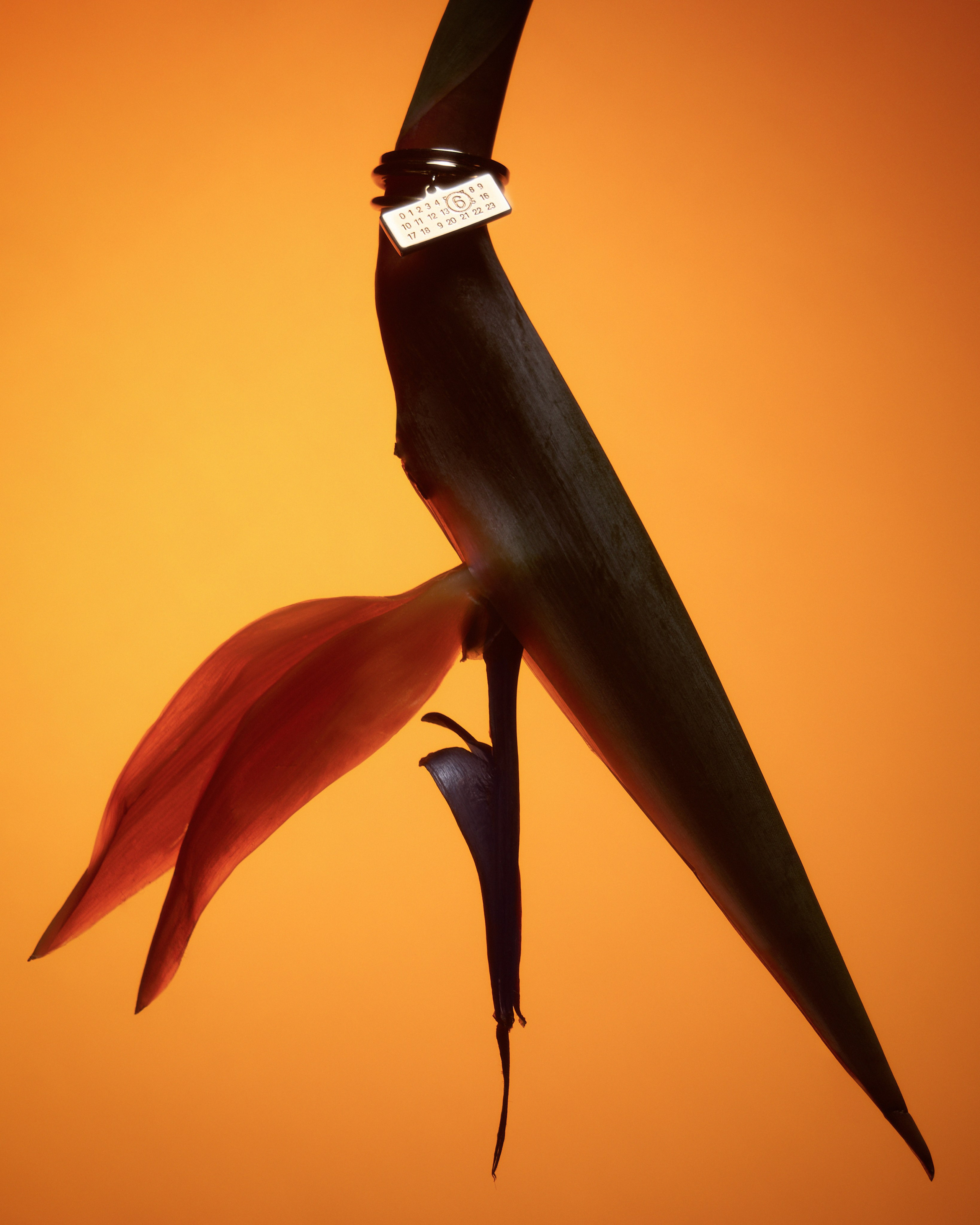 Art project flowers&jewelers. Nadezhda Diskant is a Moscow and Saint Petersburg based photographer