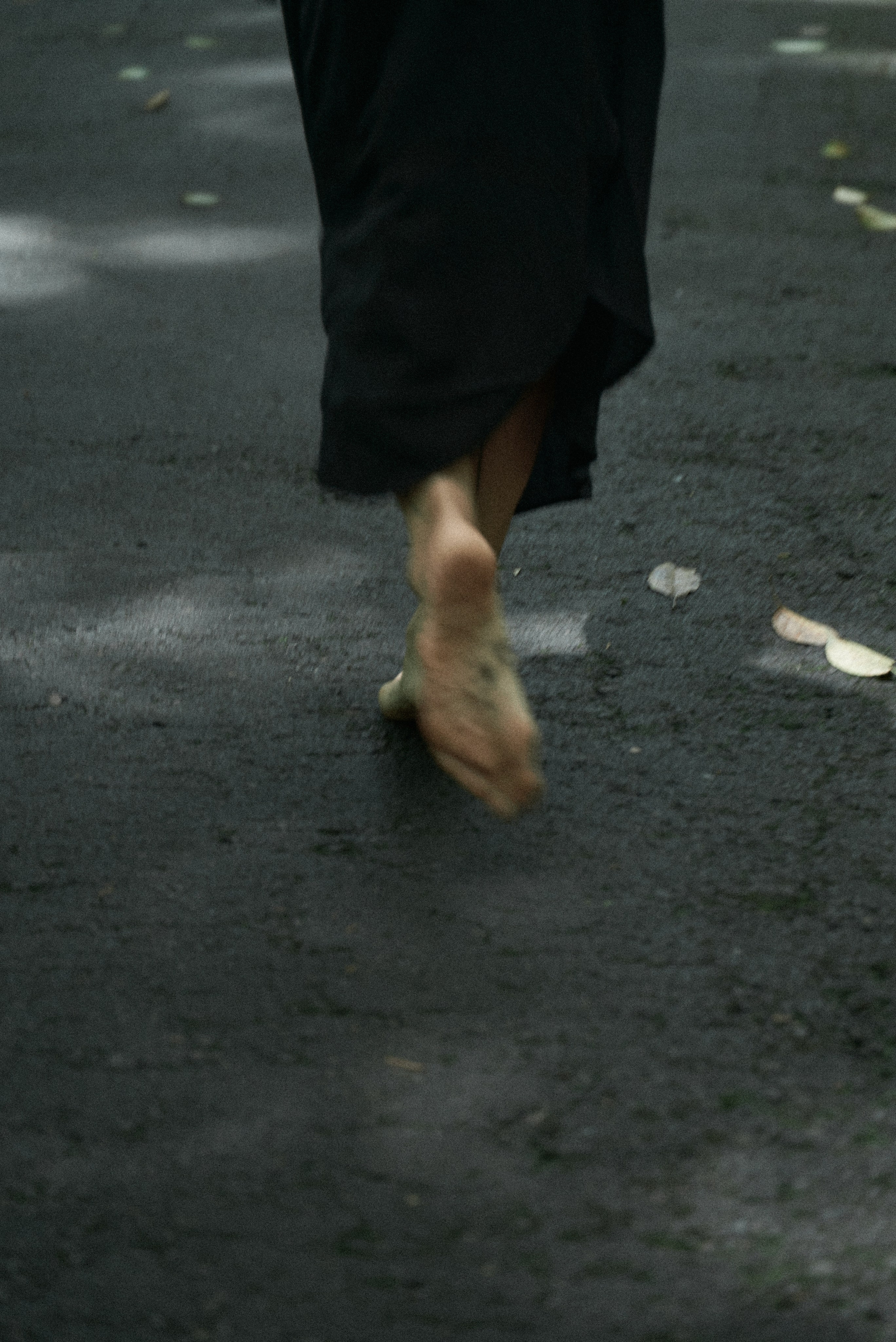 Julie nord garden. Главная