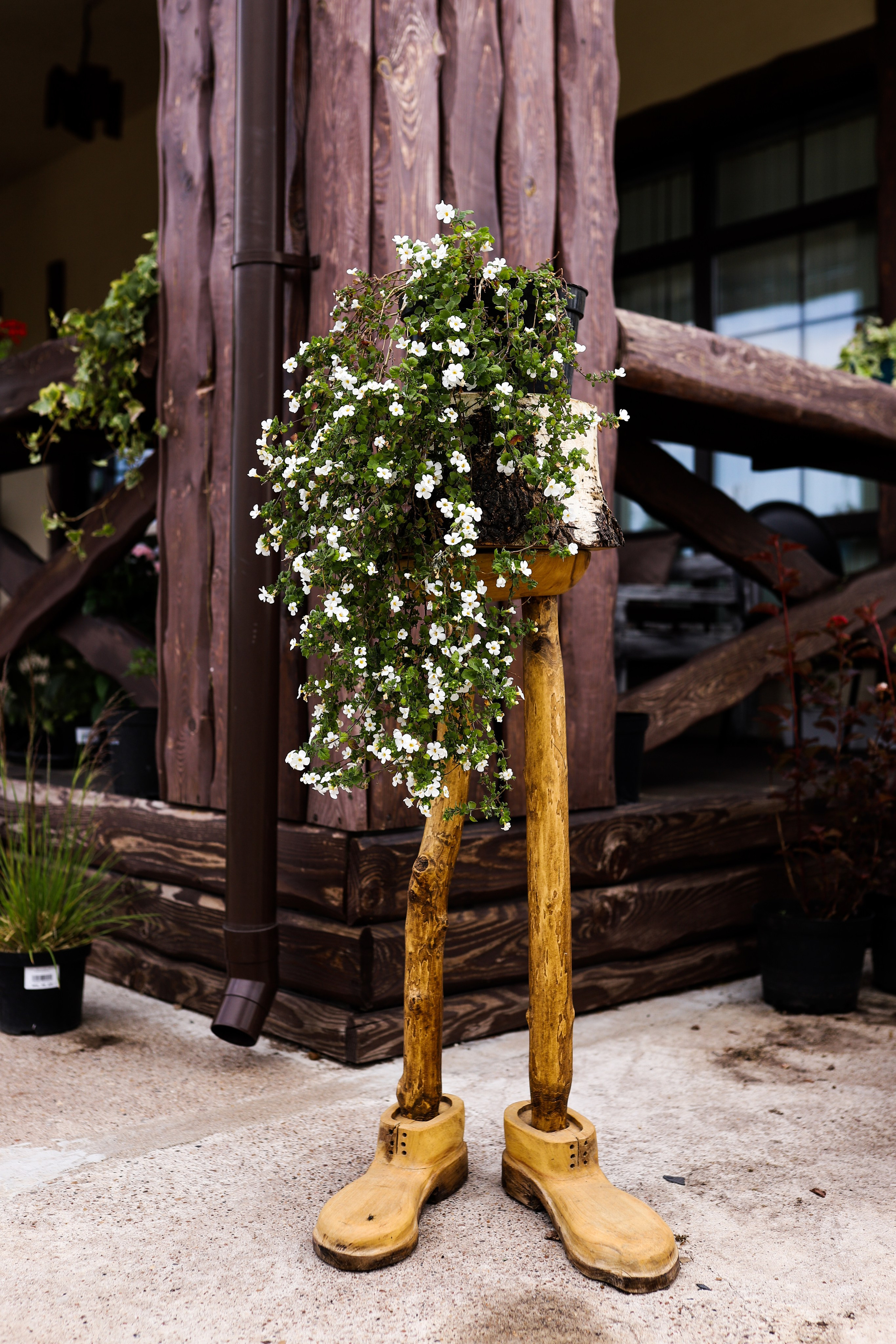 Садовый центр. Фотограф Эмилия Сафиуллина