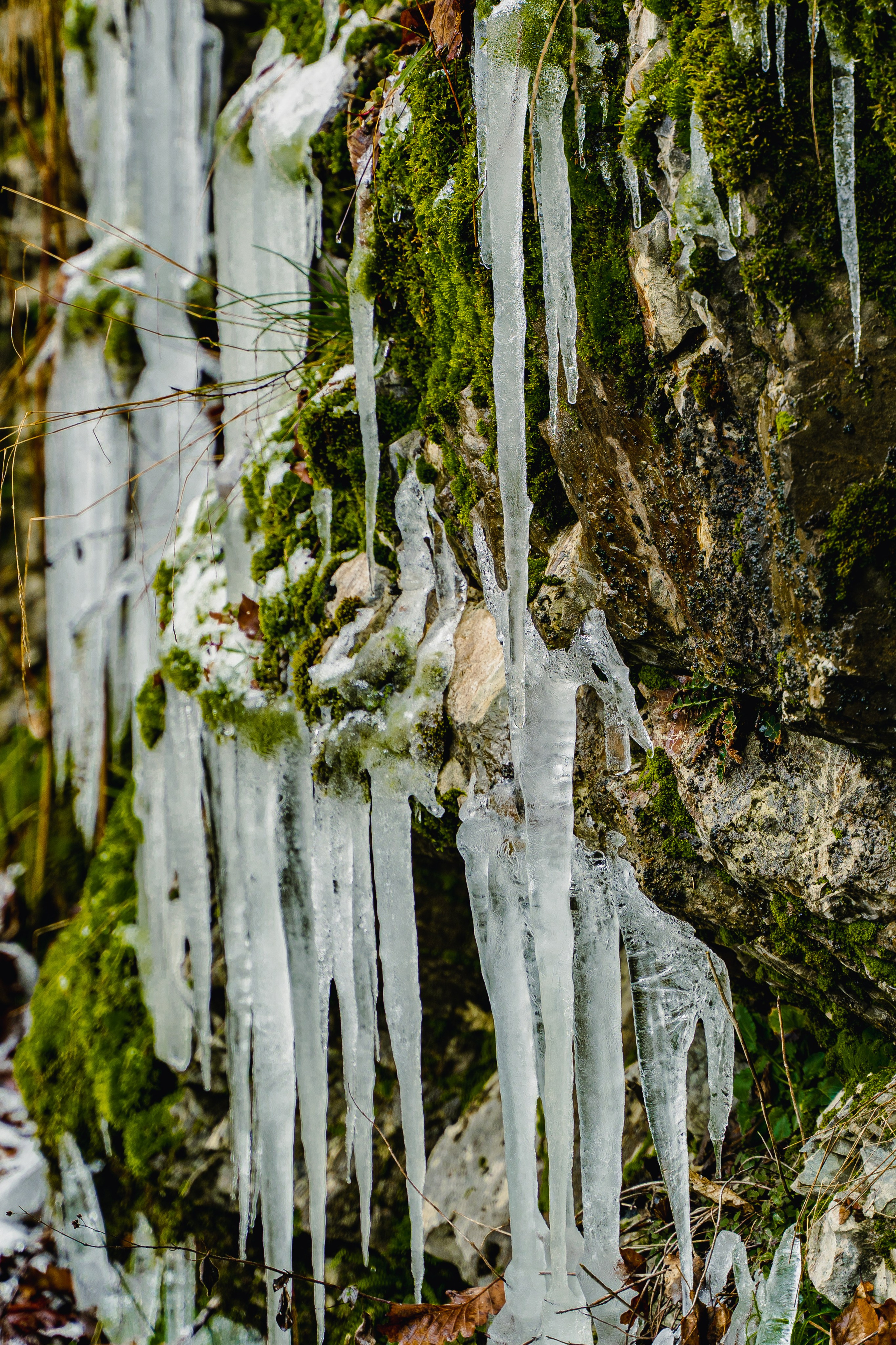 Фотографии Сочи, глазами гида-фотографа. Фотограф в Сочи Елена Лисотина. Фототуры в Сочи