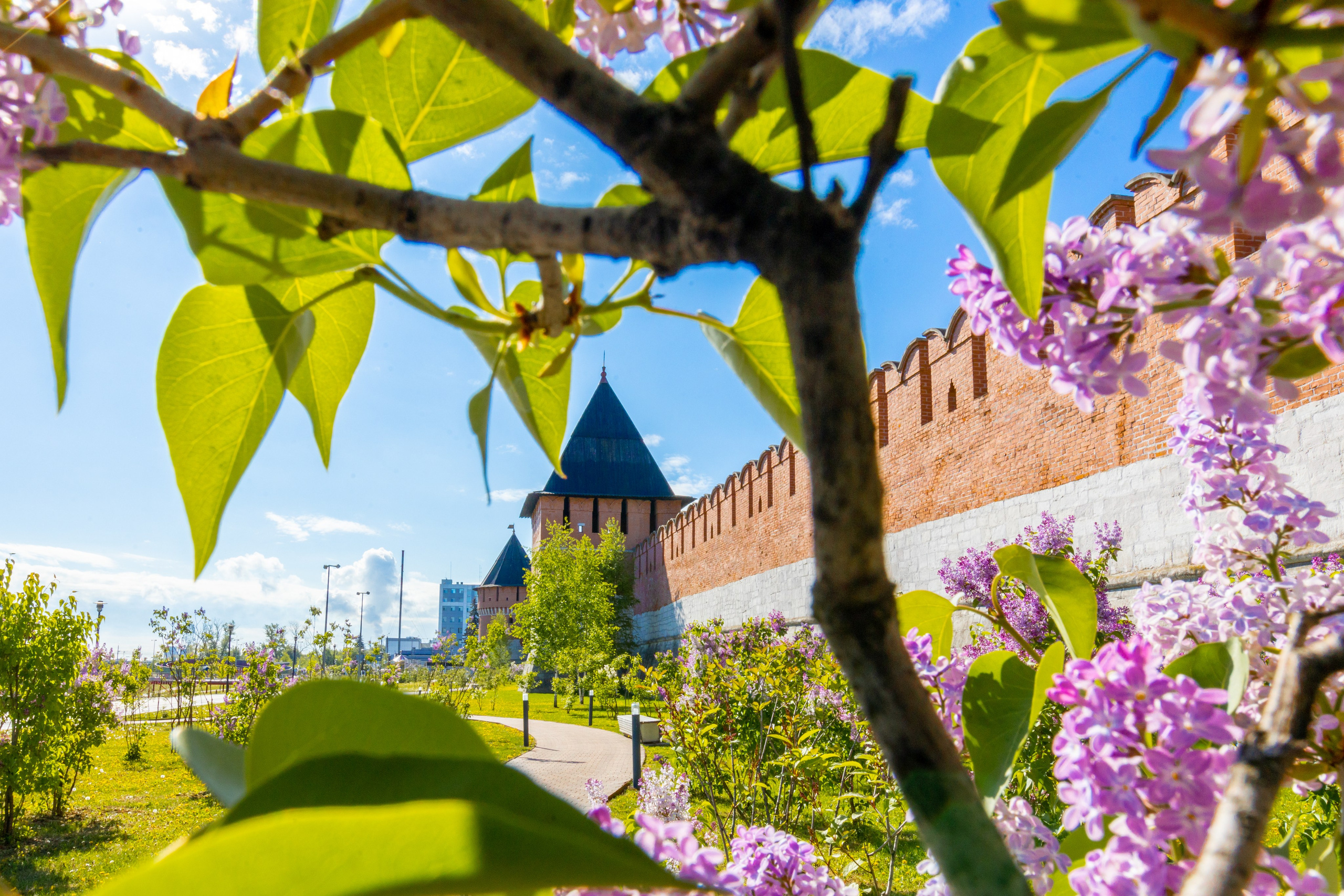 Весеннее цветение в Туле. Фотограф в Туле Крупский АнДРей. Фотостудия «КАДР71» в Туле
