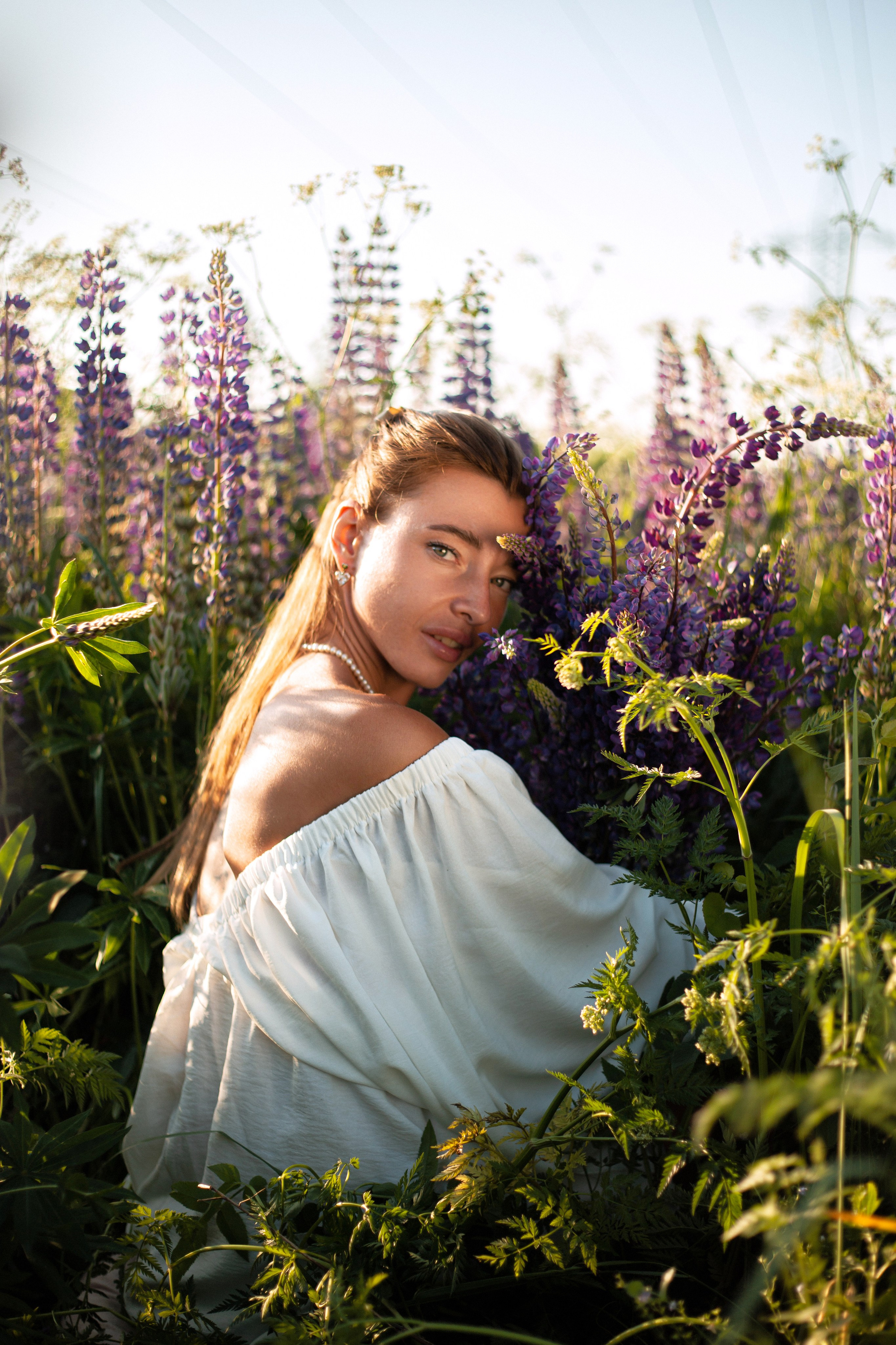 Люпины. Фотограф Москва / Балашиха