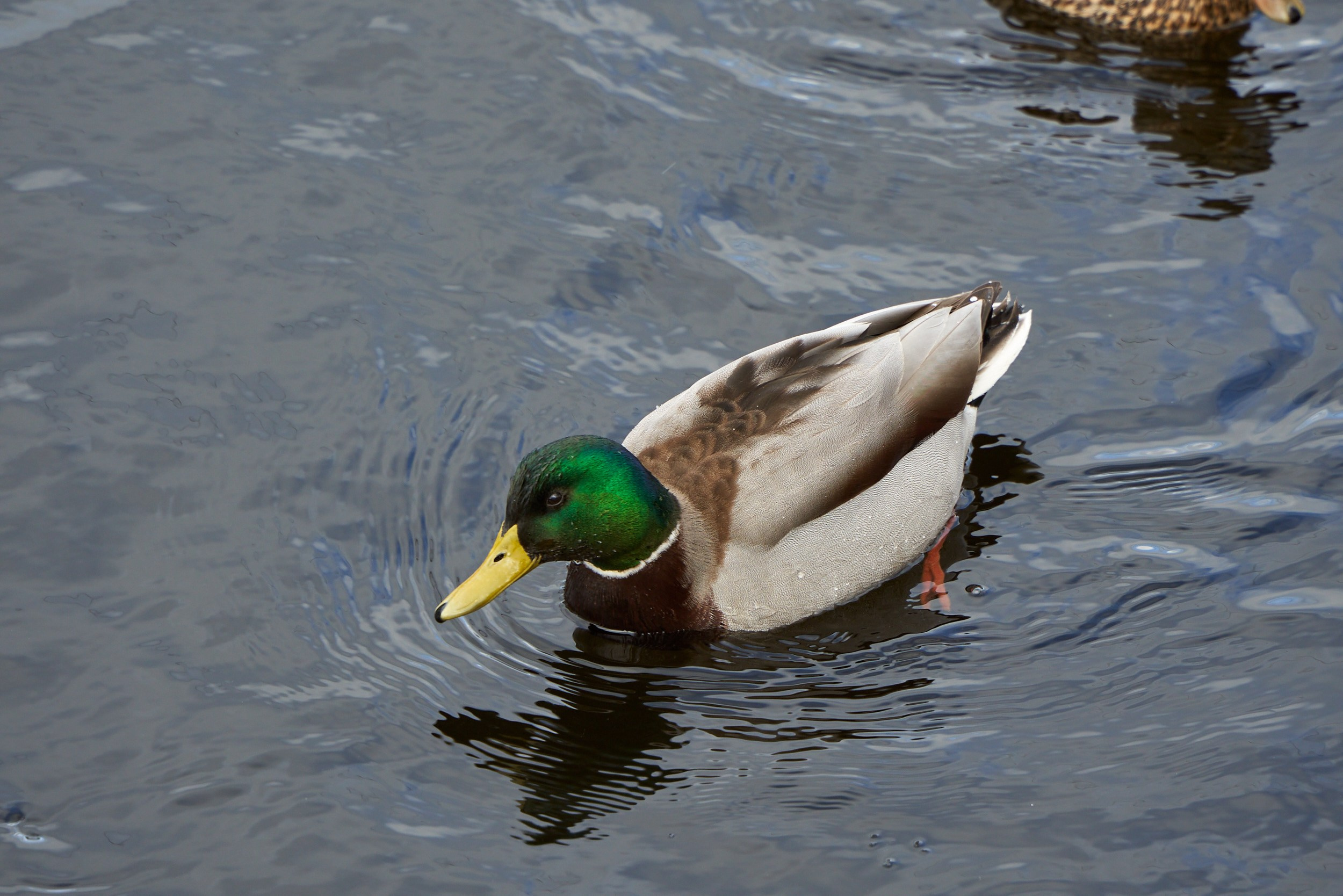 Фотографии улиц и пляжей Анапы. Профессиональный фотограф в Анапе Артем Ковальский