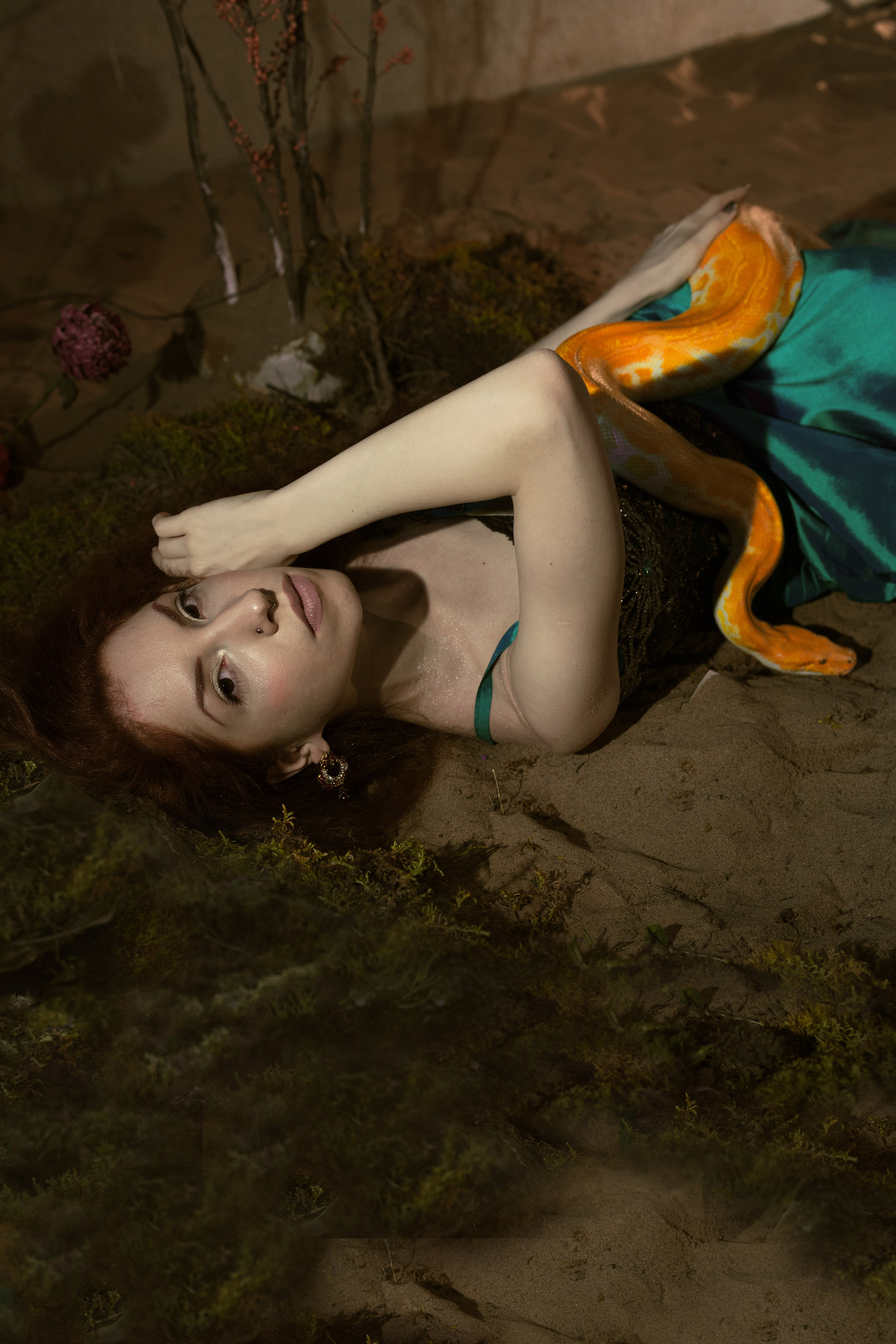 Спящая красавица