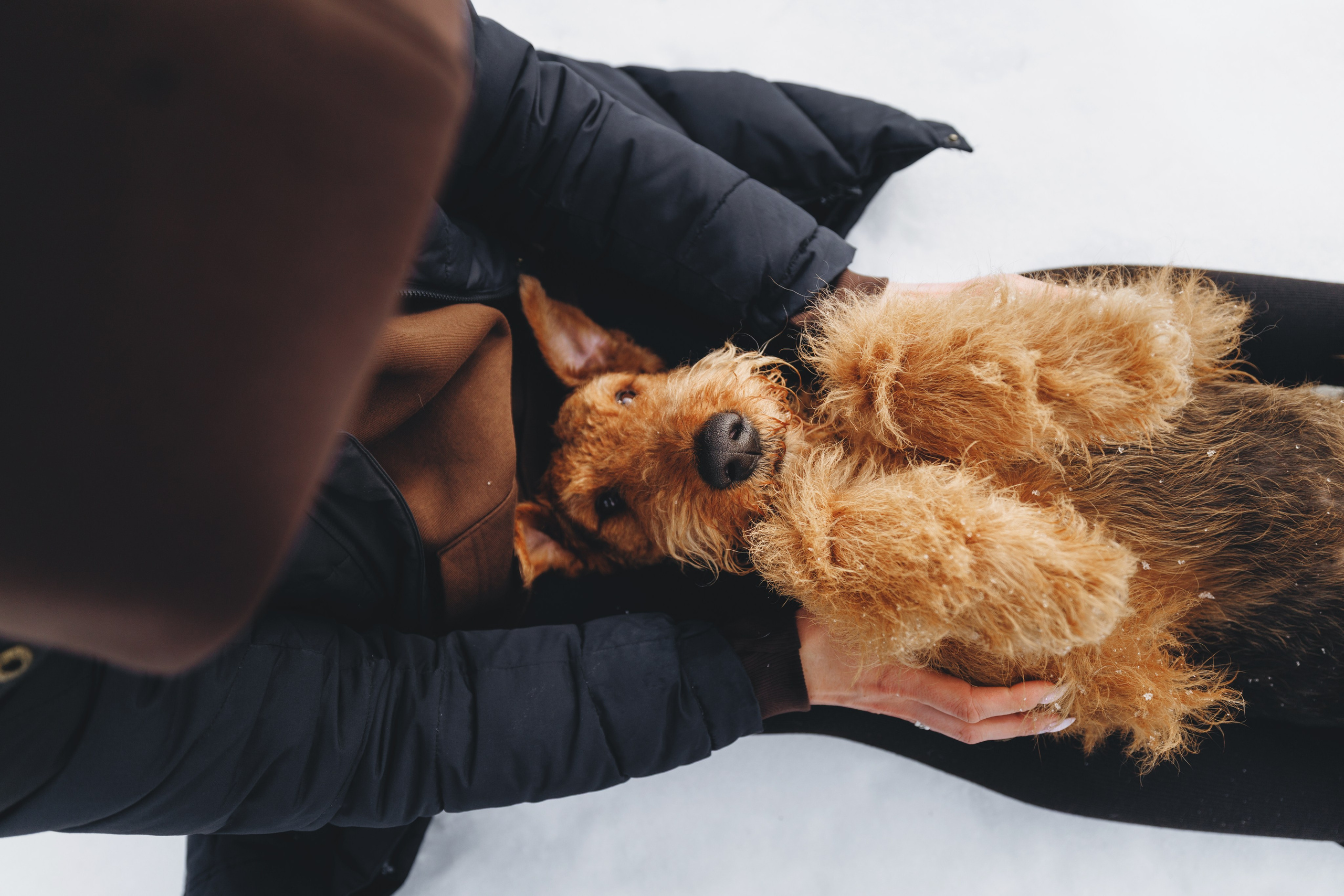 Оля и Хард. Фотограф анималист Осипчикова Мария