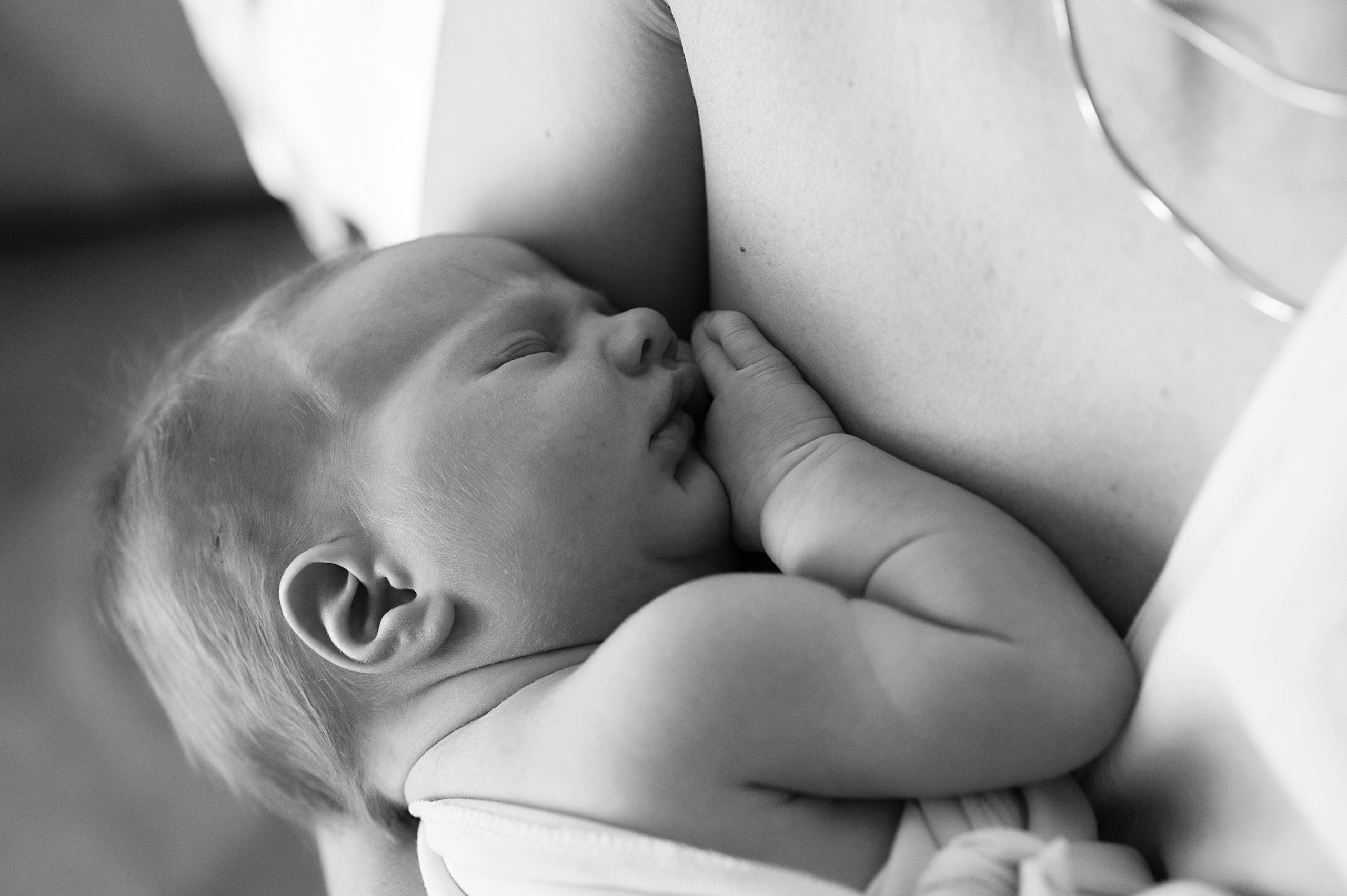 РОДДОМ. Фотограф Вера Демидкова