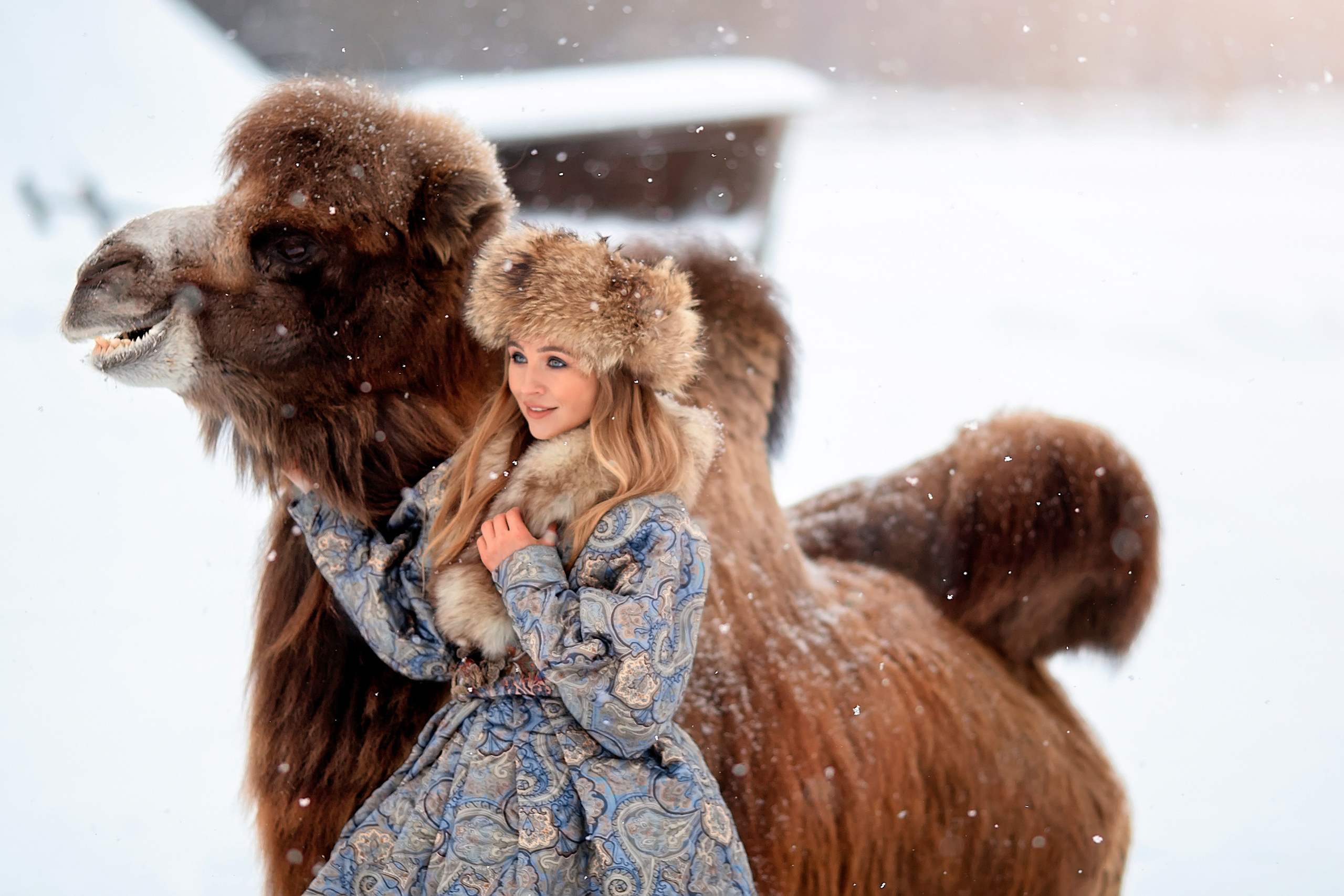 Новогодние и зимние фотосессии. Свадебный и семейный фотограф в Туле и Москве Полукарова Юлия
