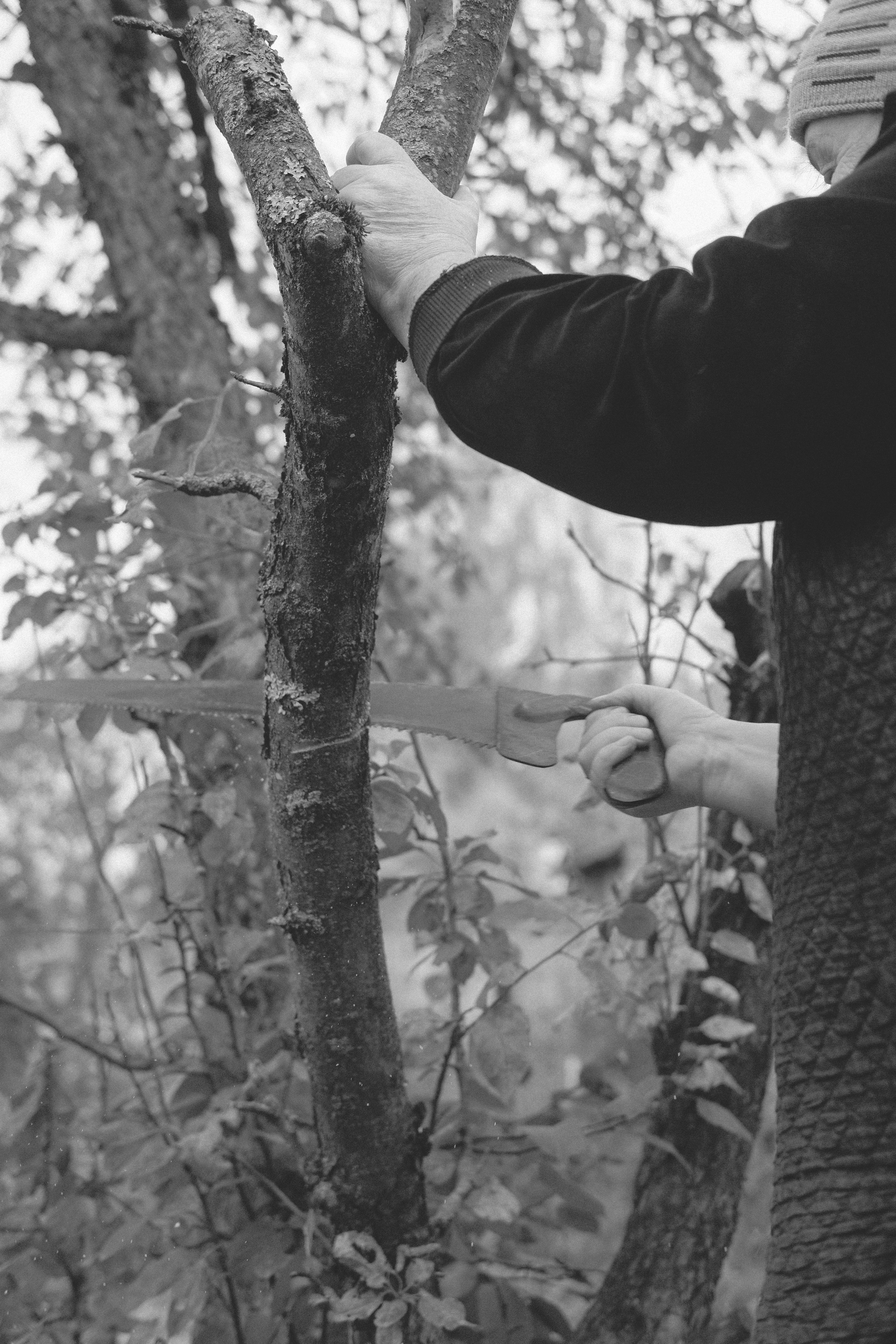 Жизнь сада. Works