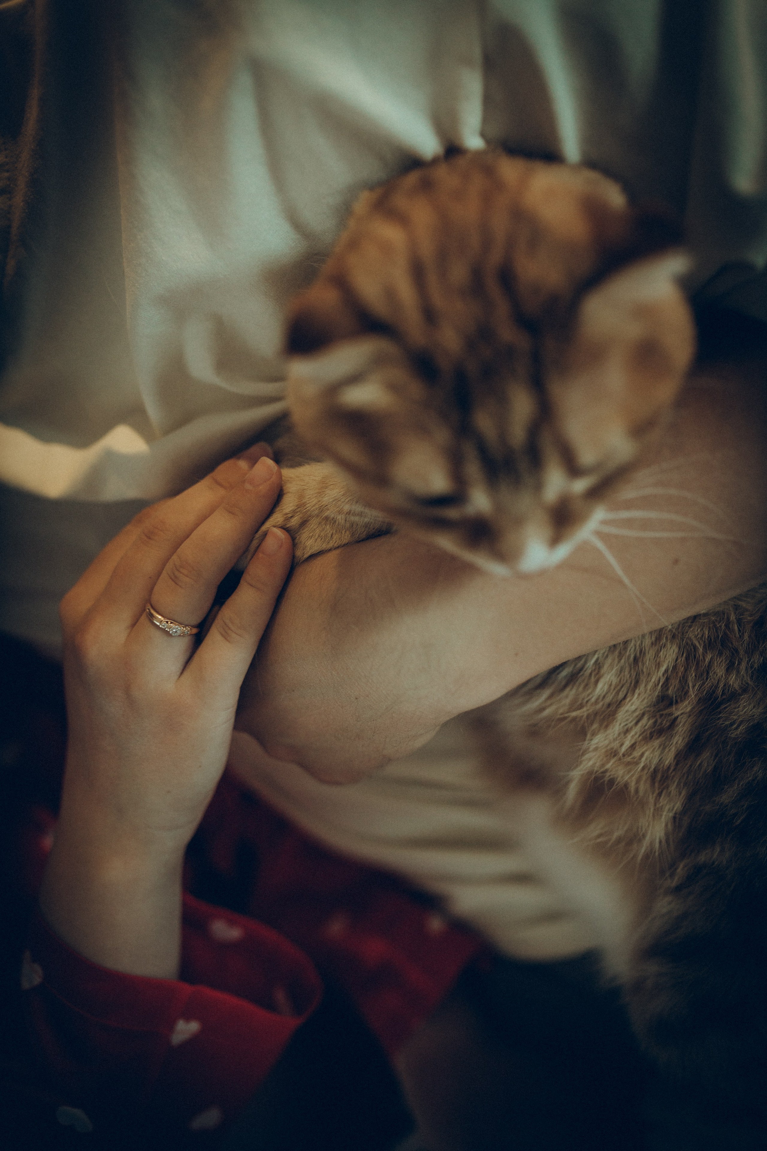 Аня & Кирилл. Семейный фотограф и фотограф на роды в Ростове-на-Дону Мухина Виктория