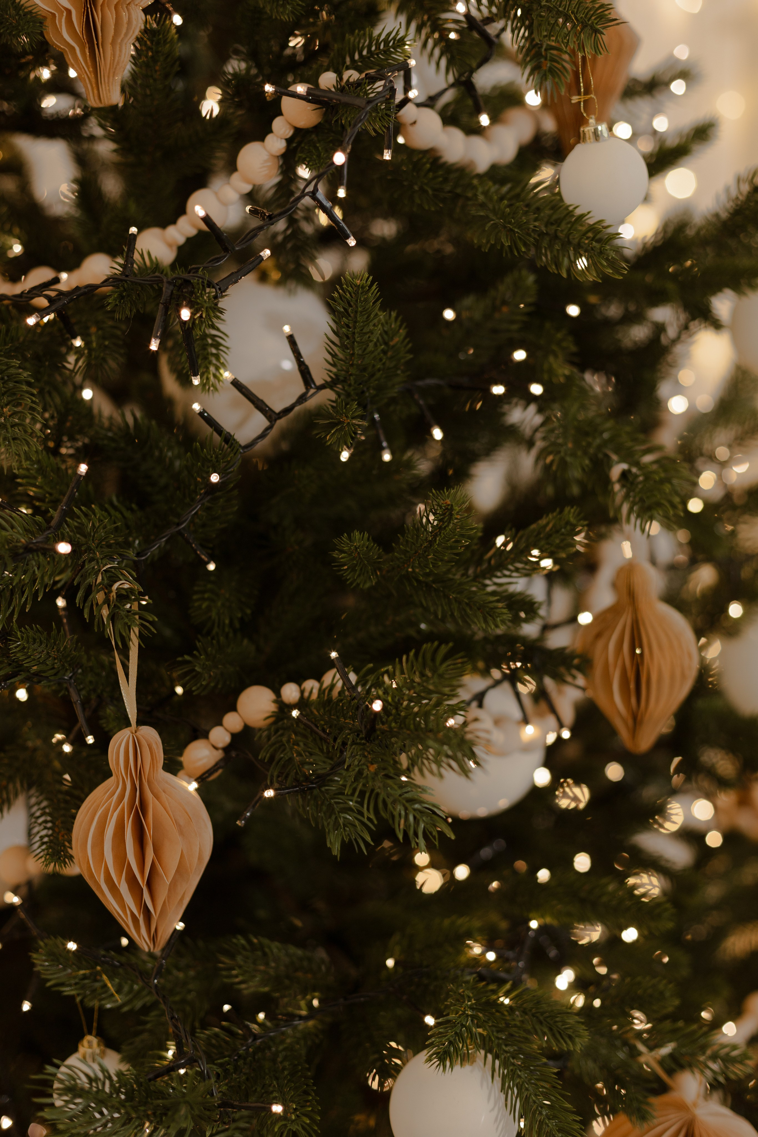 Семейные фотосессии