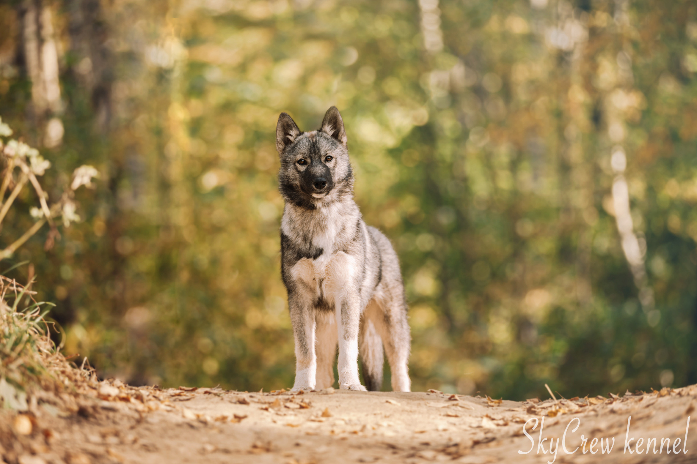 Блог. Фотограф в Москве Даша Зуева